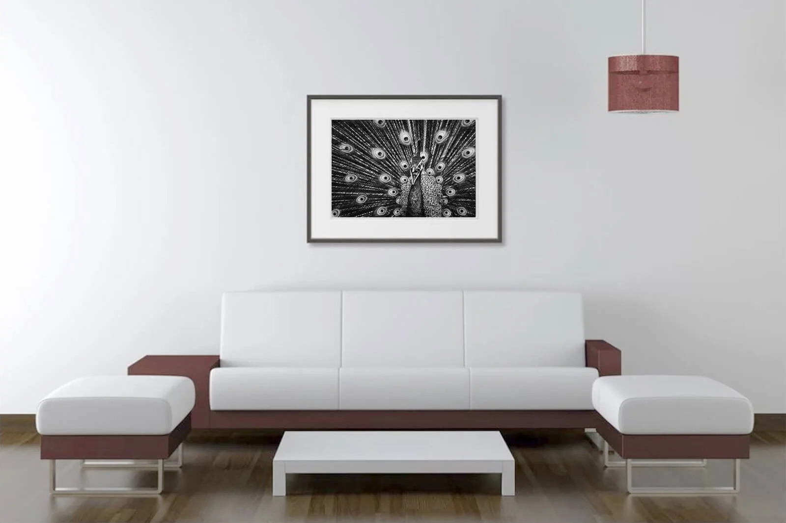 Exemple de tirage papier sous cadre - paon.JPG