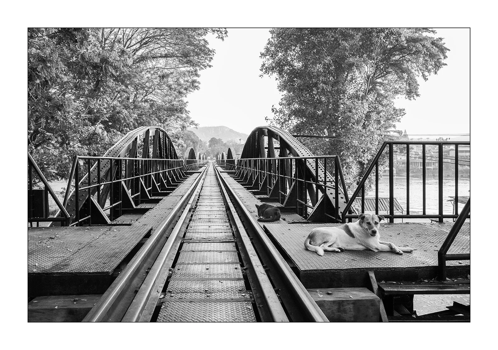 Kanchanaburi, Thaïlande - les chiens gardiens du pont sur la rivière Kwai