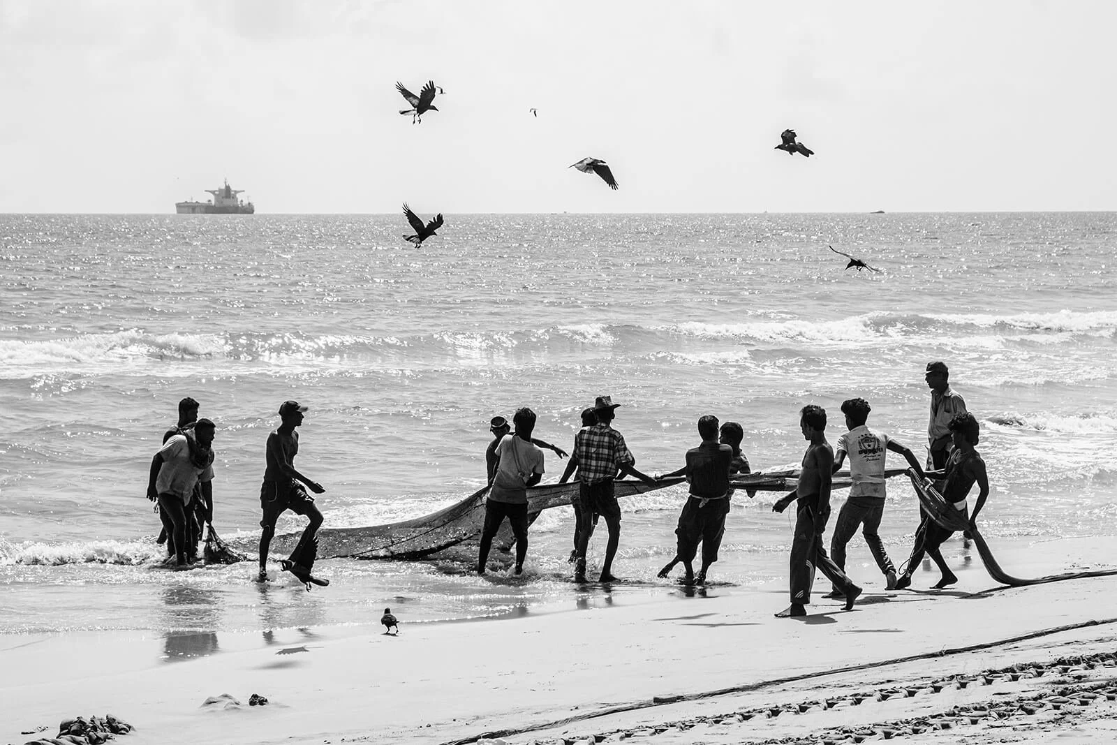 Uppuveli, Sri Lanka - Scène d'action en noir et blanc montrant un alignement de pêcheurs tirant la senne hors de la mer sur la plage d'Uppuveli.