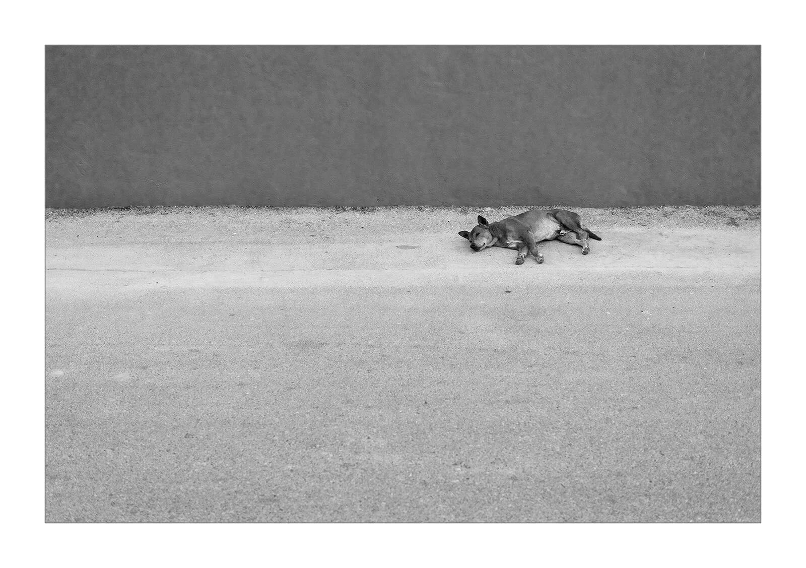 Hua Hin, Thaïlande — Un chien solitaire est allongé au sol, au pied d'un mur dans une rue poussiéreuse. 