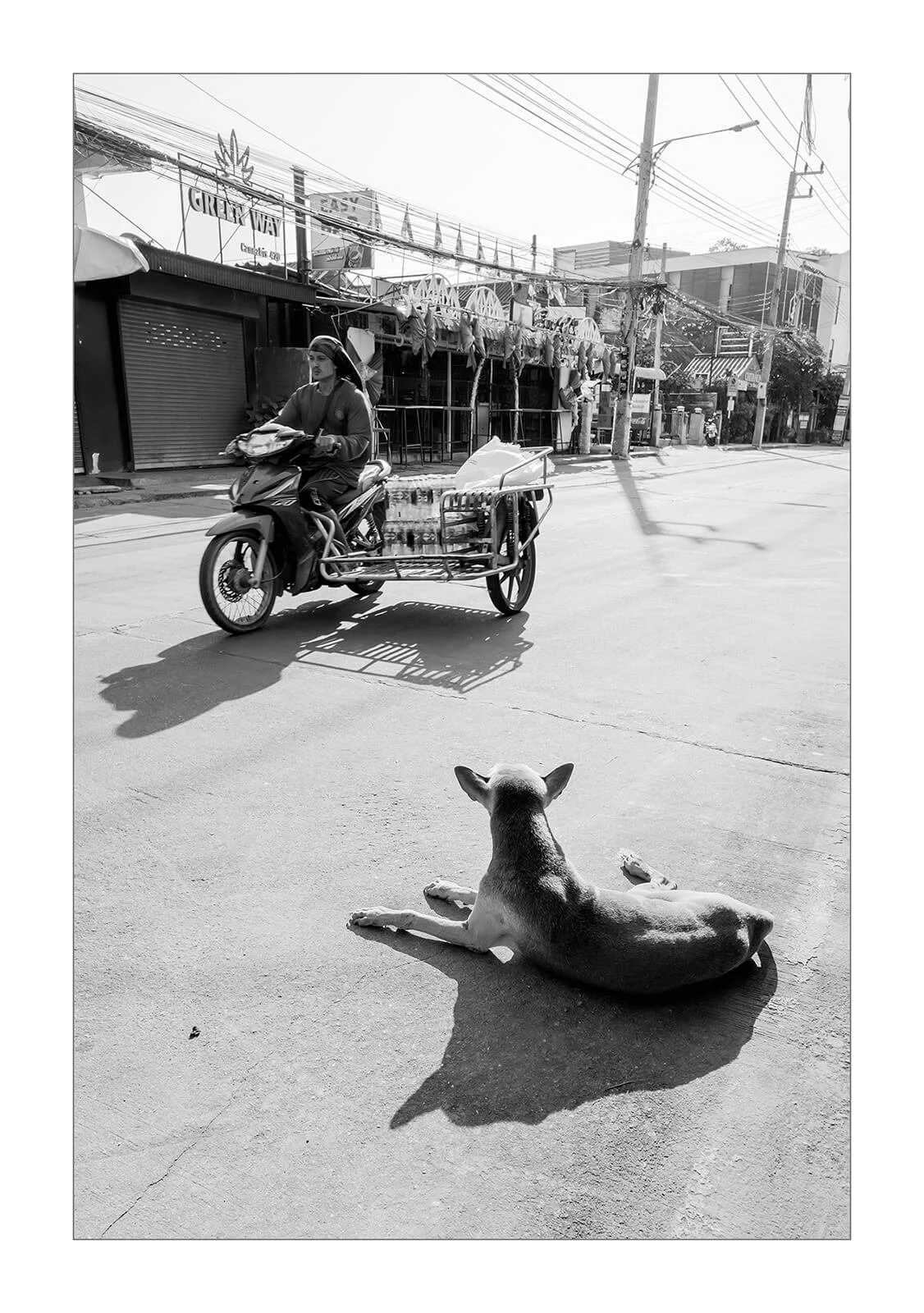 Kanchanaburi, Thaïlande — Un chien couché directement sur la chaussée observe les passants et les scooters passer. Photo Hugues Hardy