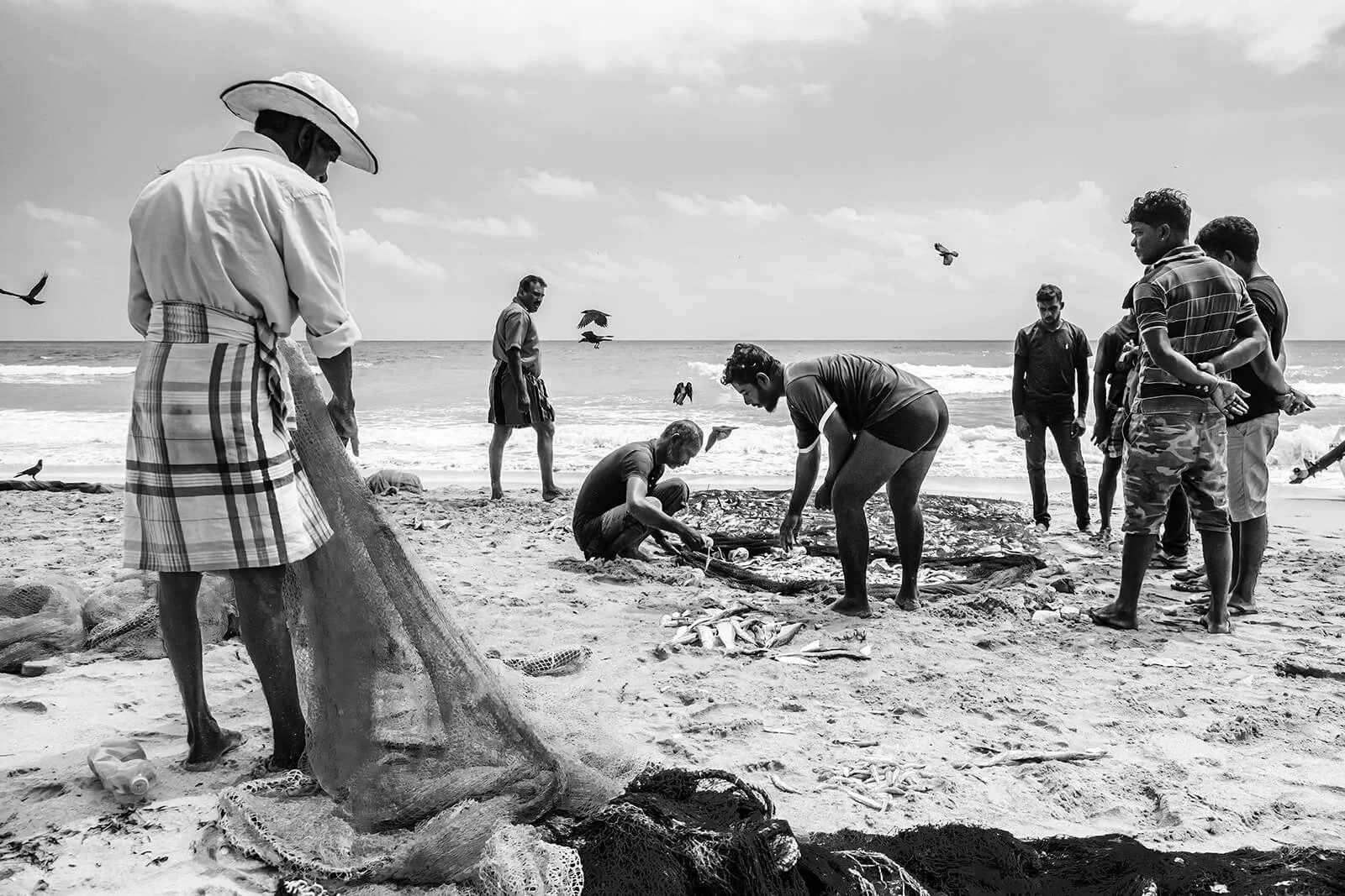 Uppuveli, Sri Lanka - Scène de travail montrant des pêcheurs occupés à trier le poisson sur le sable et à démêler un grand filet.