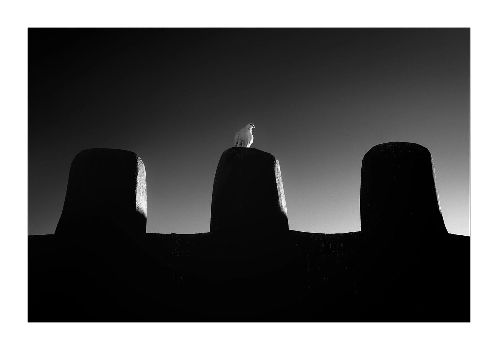 Tiznit, Maroc — un pigeon blanc posé au sommet des remparts se détache dans la lumière du petit matin.