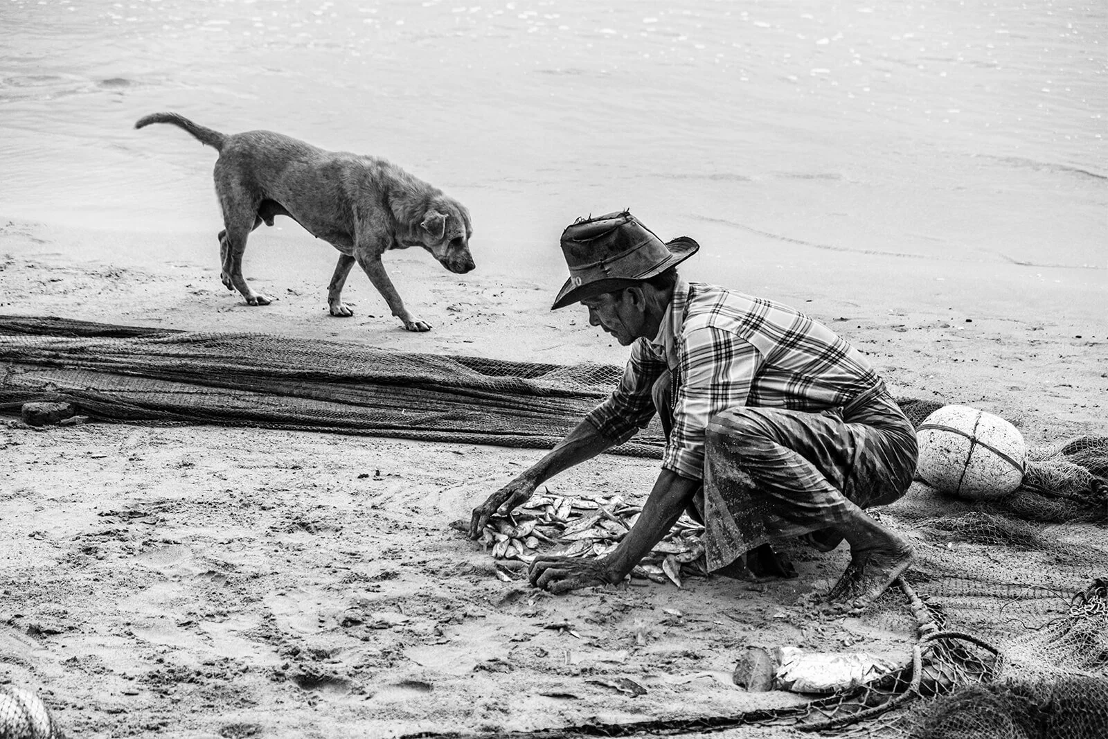 Scène montrant un homme accroupi sur la plage, triant un petit tas de poissons, surveillé par un chien qui attend sa part de poisson.