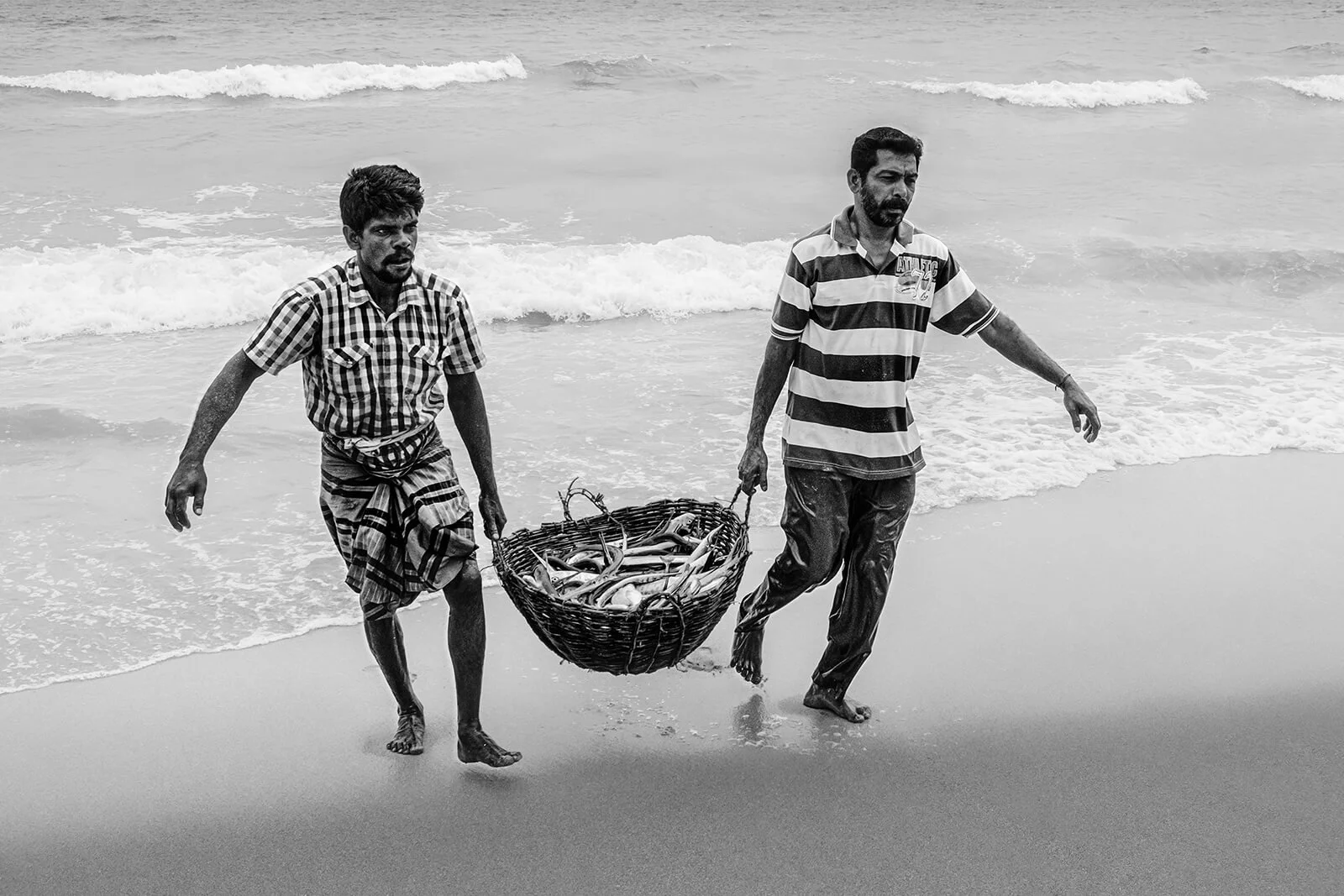 Plan rapproché en noir et blanc de deux hommes portant un panier d'osier rempli de poissons qu'ils ont rincé dans la mer.