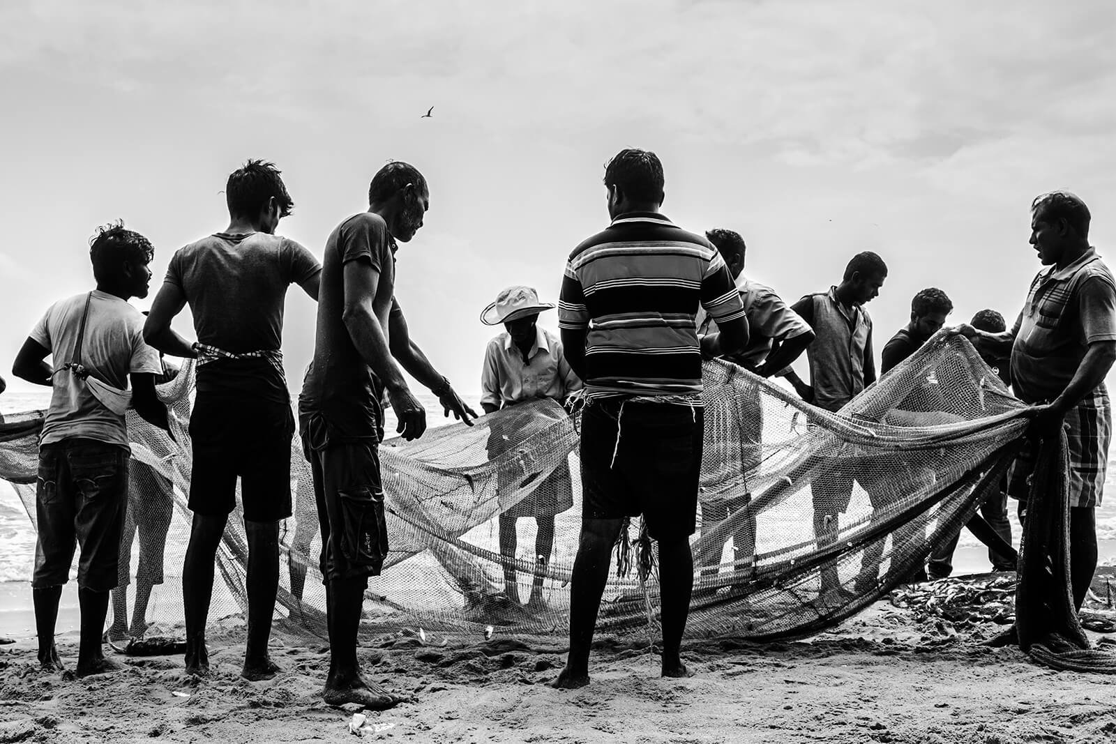 Scène de groupe montrant des pêcheurs de dos travaillant ensemble pour démêler un grand filet.