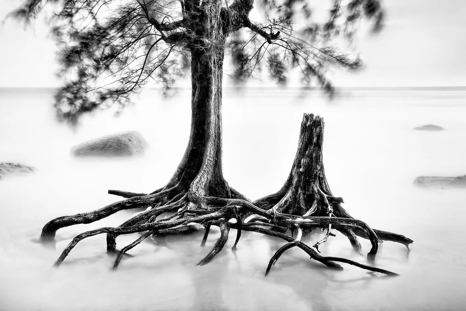 Photographie minimaliste Fine Art à Koh Phangan : deux arbres isolés dans une mer d'huile. Noir et blanc pur et apaisant, photographie Hugues Hardy.