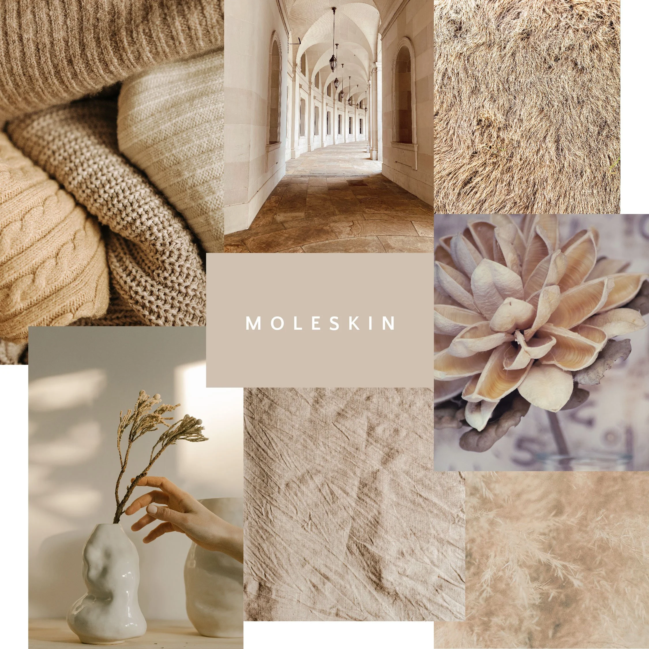 Moleskin.jpg