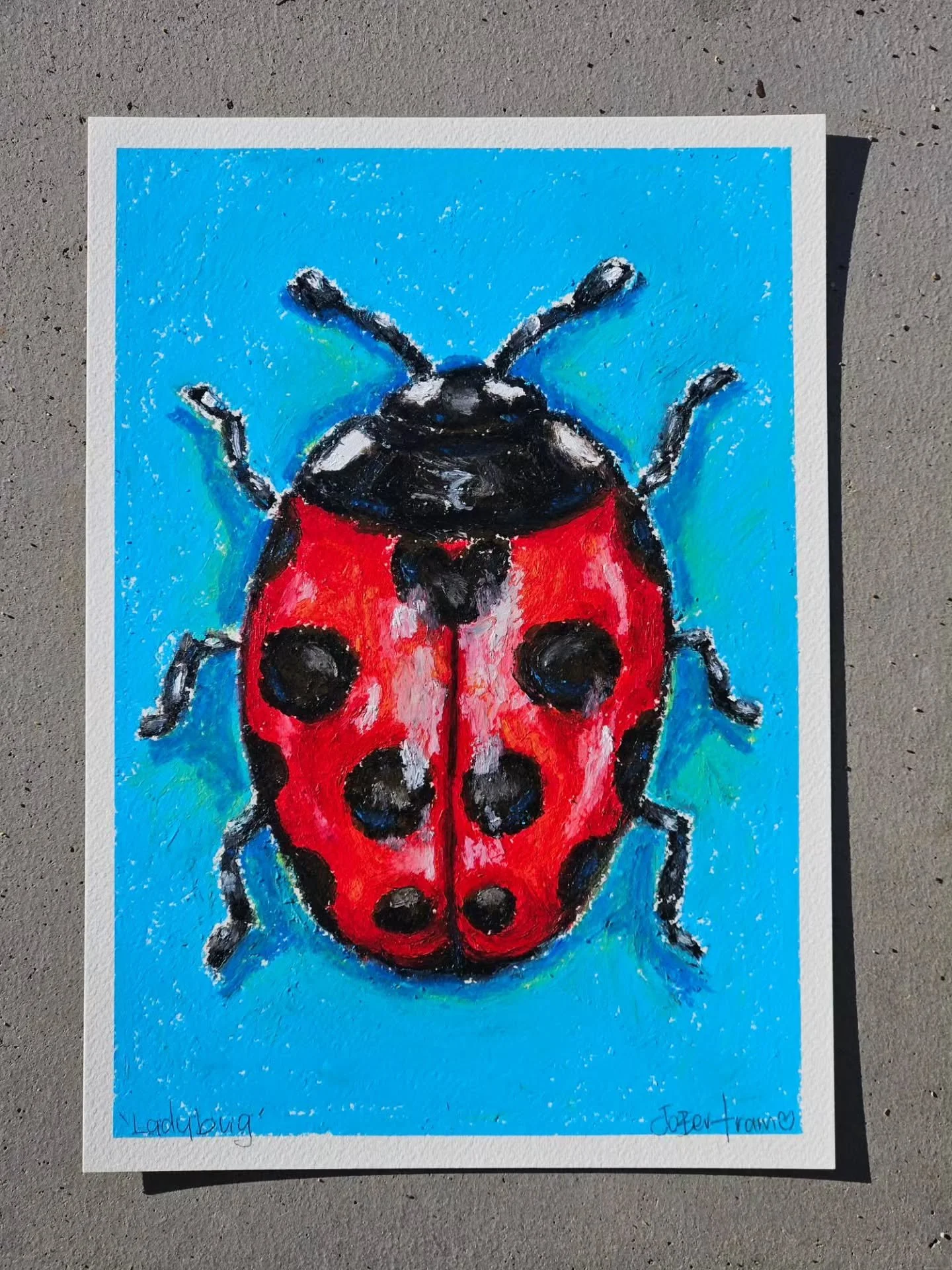 Ladybug done in oil pastels as a commission for someone special

Do you call them ladybugs or ladybirds?

#fizzbubbleartanddesign #artwork #ladybug #adelaide #southaustralia
