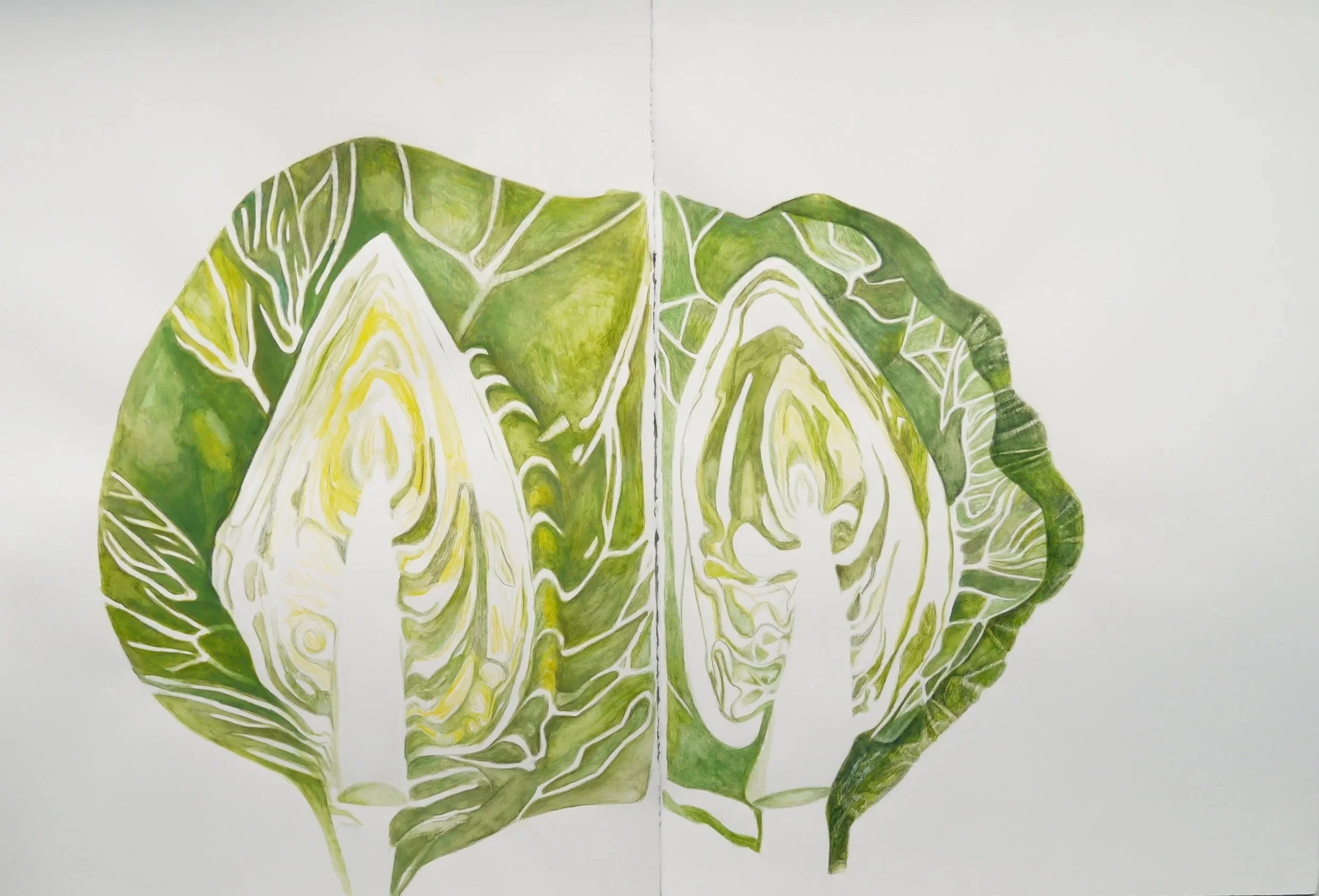 Kål Tolga 2021 - Tempera 56 x 76 x 2 cm