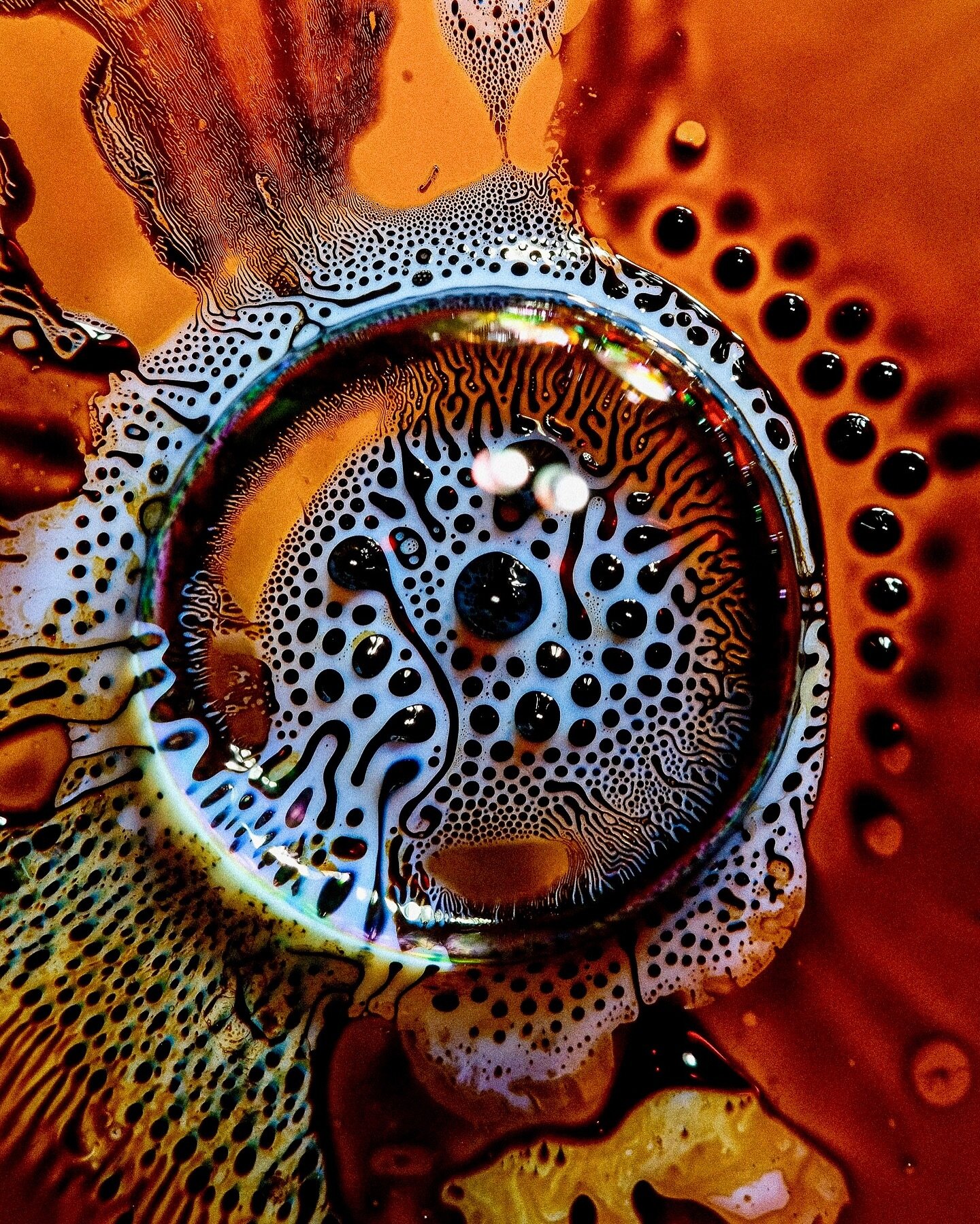 👁️ I see you 👁️ No CGI, just ferrofluid on a microscope slide &bull;
#abstractart #abstractphotography #microscopy #microscopyart #scifiart #scifiartist #scifiartwork #experimentalphotography #fluidart #liquidart #liquidlight #hypnotic #surreal #ma
