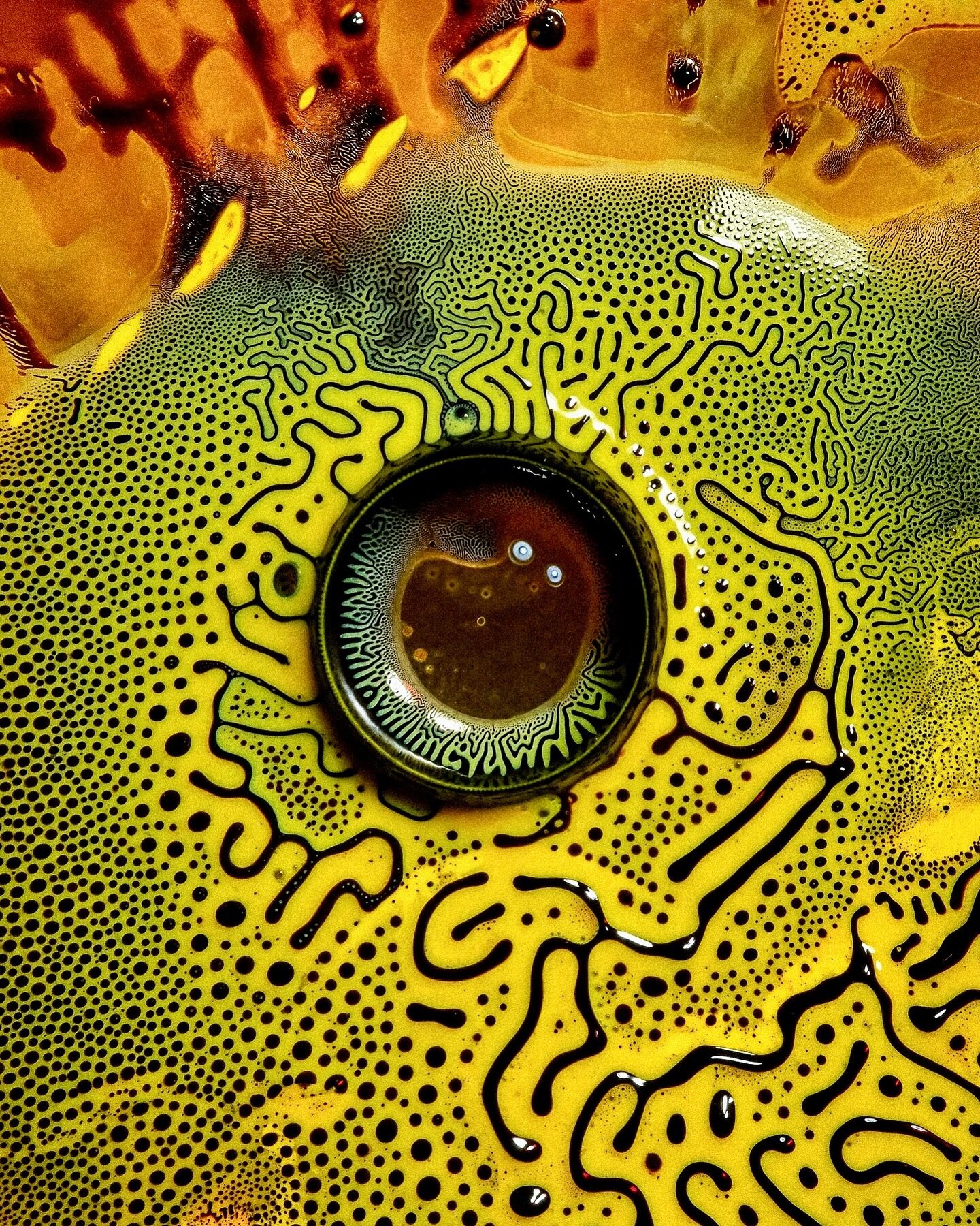 &Oslash;bserwator &bull; No CGI, just ferrofluid on a microscope slide 
#ferrofluid #fluiddynamics #magnetism #newmediaart #newmediaartist #experimentalphotography #abstractphoto #abstractart #surreal #otherwordly #alienart #scifiartist