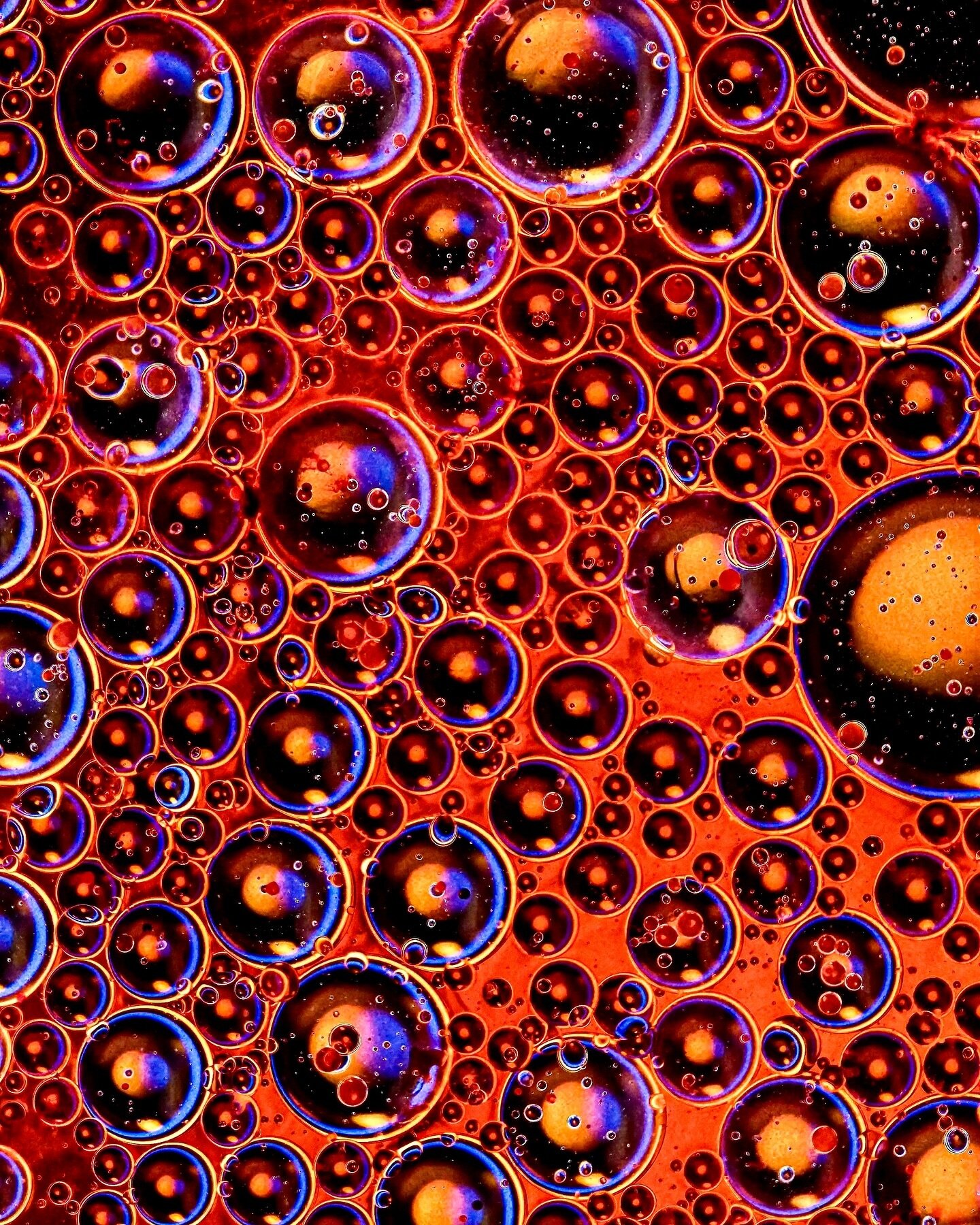 Bubblism 🫧 No CGI, just some bubbles on a microscope slide 🛝 A still frame from my latest music video for Dreamers Delight - Observer. Full video available in my videography (l!nk in b!o) - check it out! 
#bubbles #fluidart #liquidart #videoart #vi