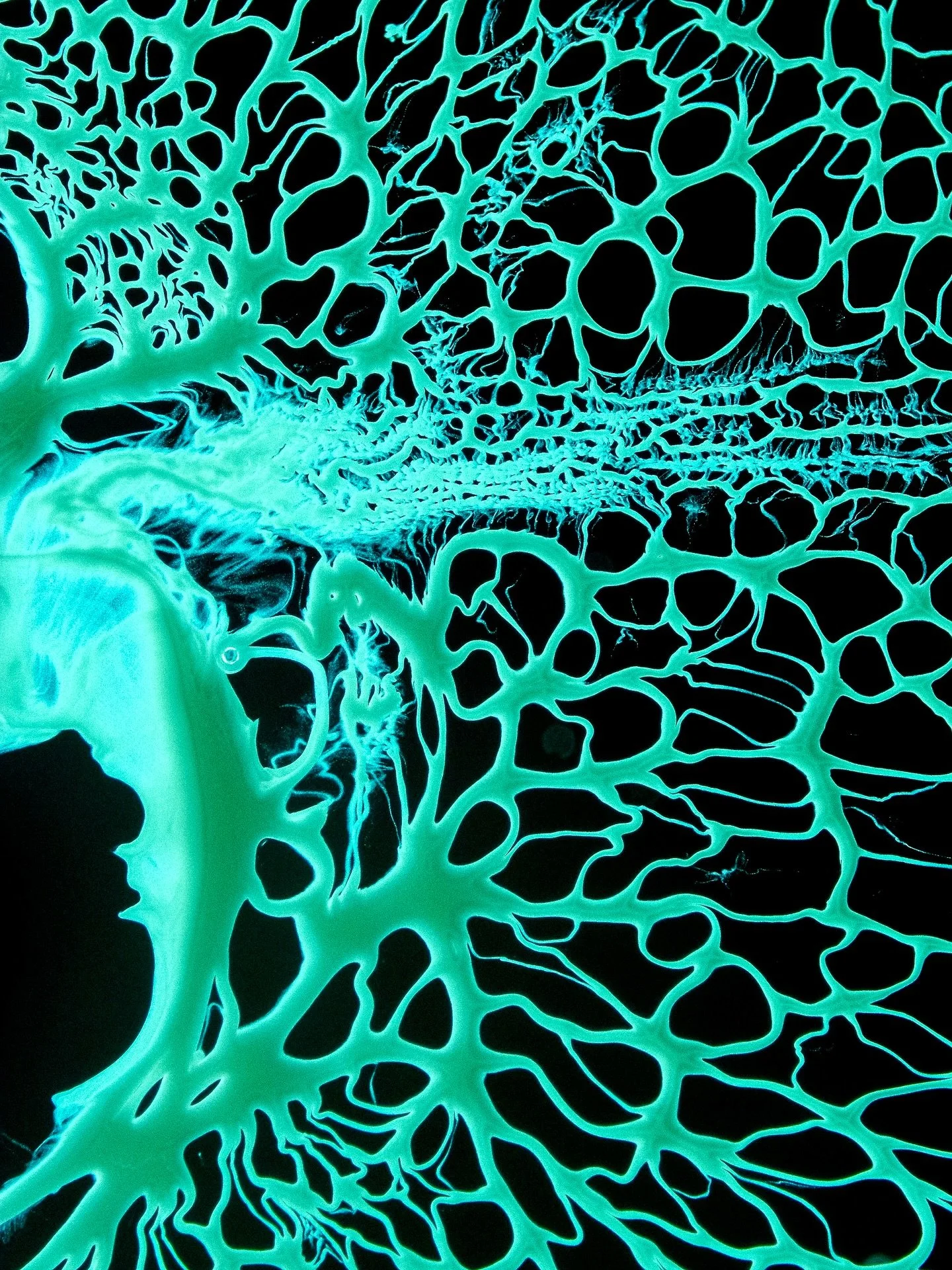 🕸️ Here are a few photos I took recently with my microscope. What you see in the photos is a drop of dissolving ink in a new substance that appeared in my toolkit &ndash; this is just my first encounter with its possibilities, and I definitely want 