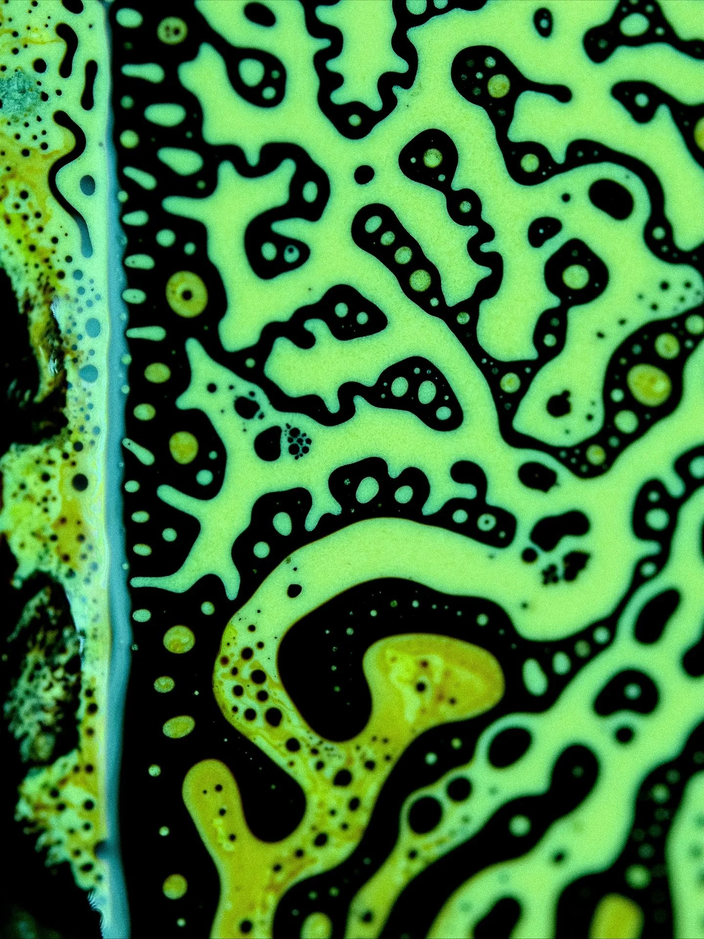 🟢 A closer look into my recent ferrofluid experiments - this time captured as a series of stills instead of video (making of process can be seen in a reel from last week).

Each frame shows the interaction between a magnetically responsive fluid and