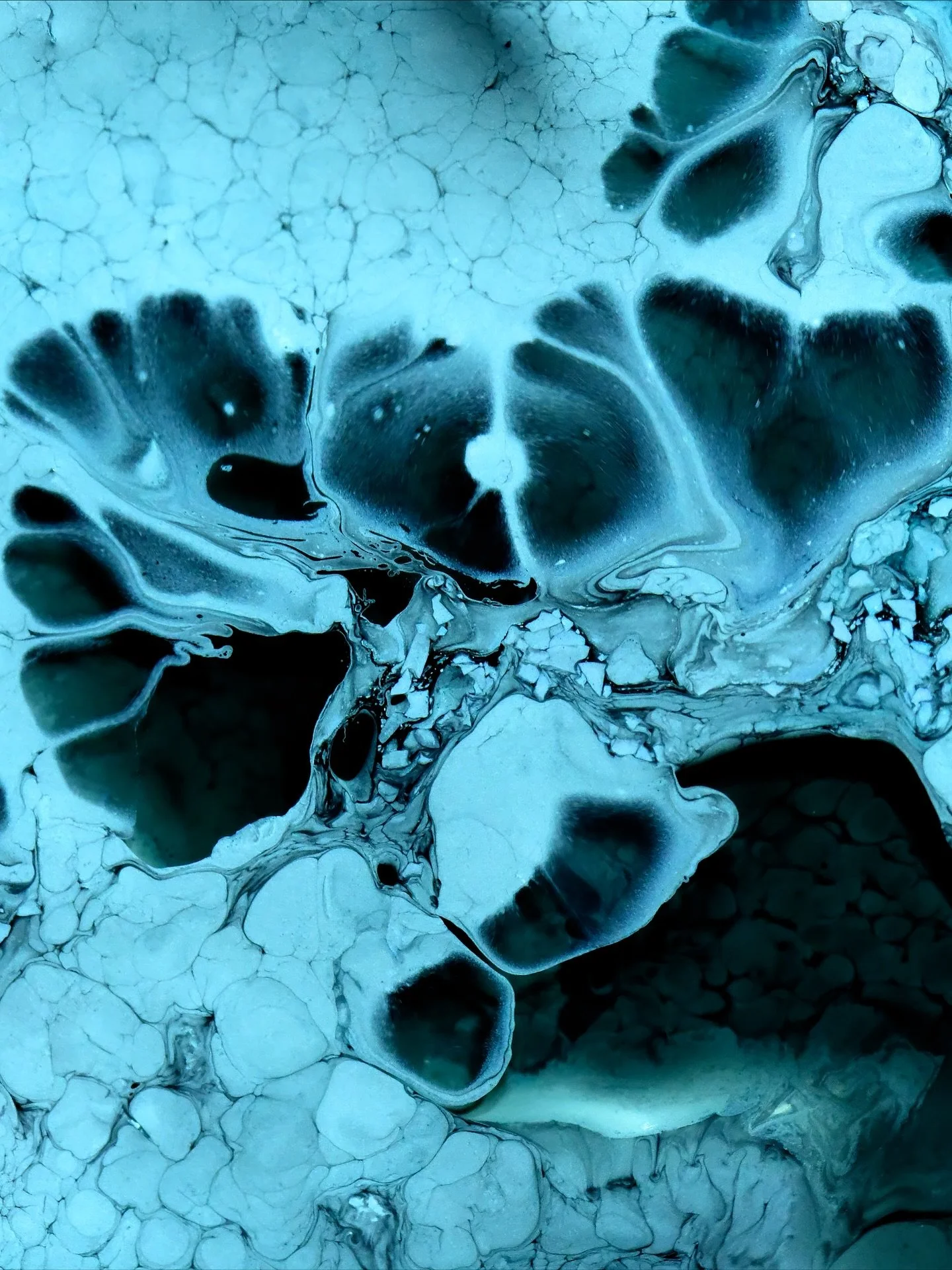 ⚪️ A series of stills from one of my recent microscope sessions &ndash; the same one featured in last week&rsquo;s raw footage reel. These images capture the moment when alcohol inks and selected reactive additives settle into subtle patterns and tex