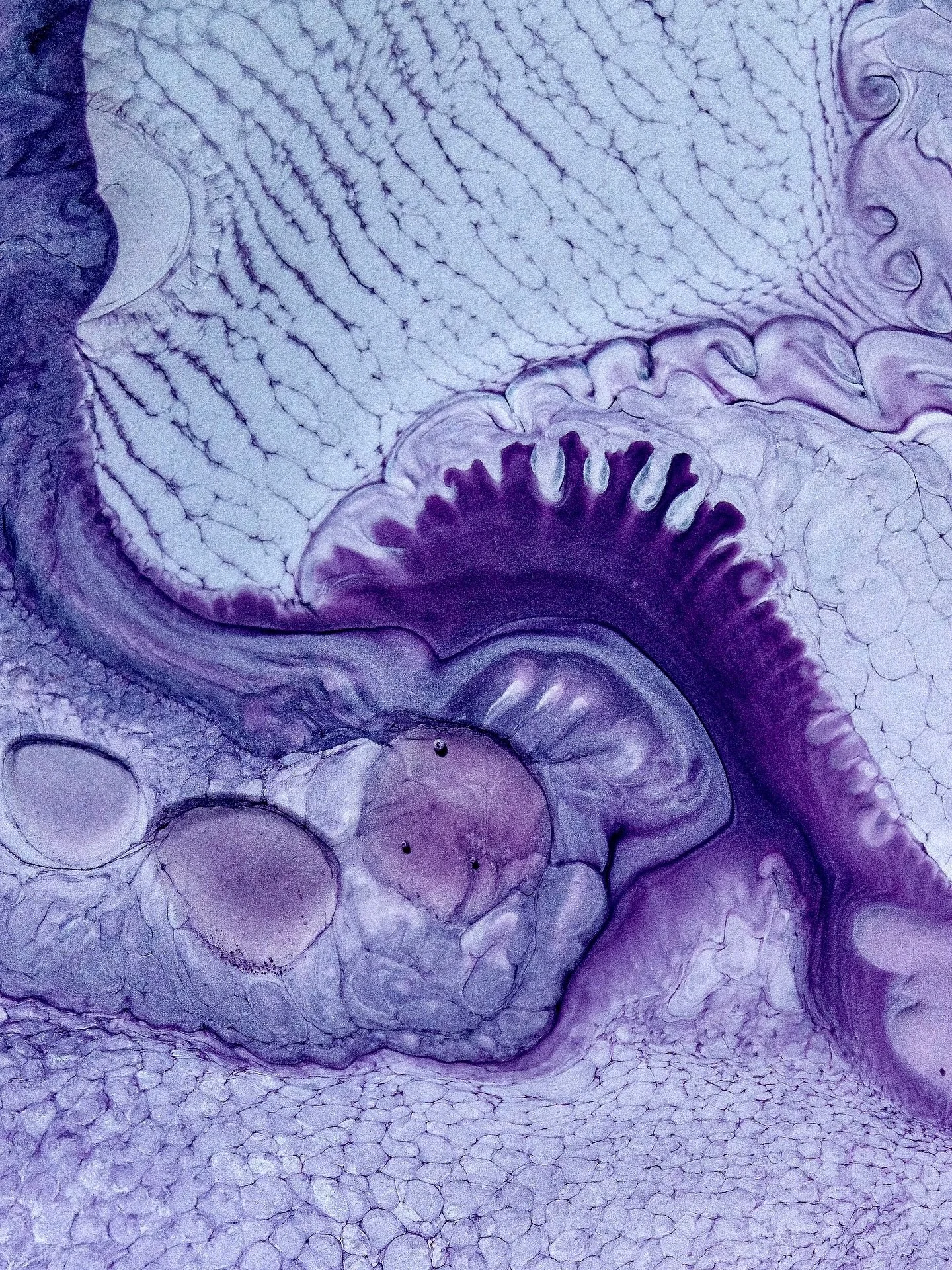 🔬 A set of still frames captured during one of my recent microscope sessions with alcohol inks and reactive additives. These images were taken after the initial phase of the chemical reaction had slowed, allowing the substances to settle into more d