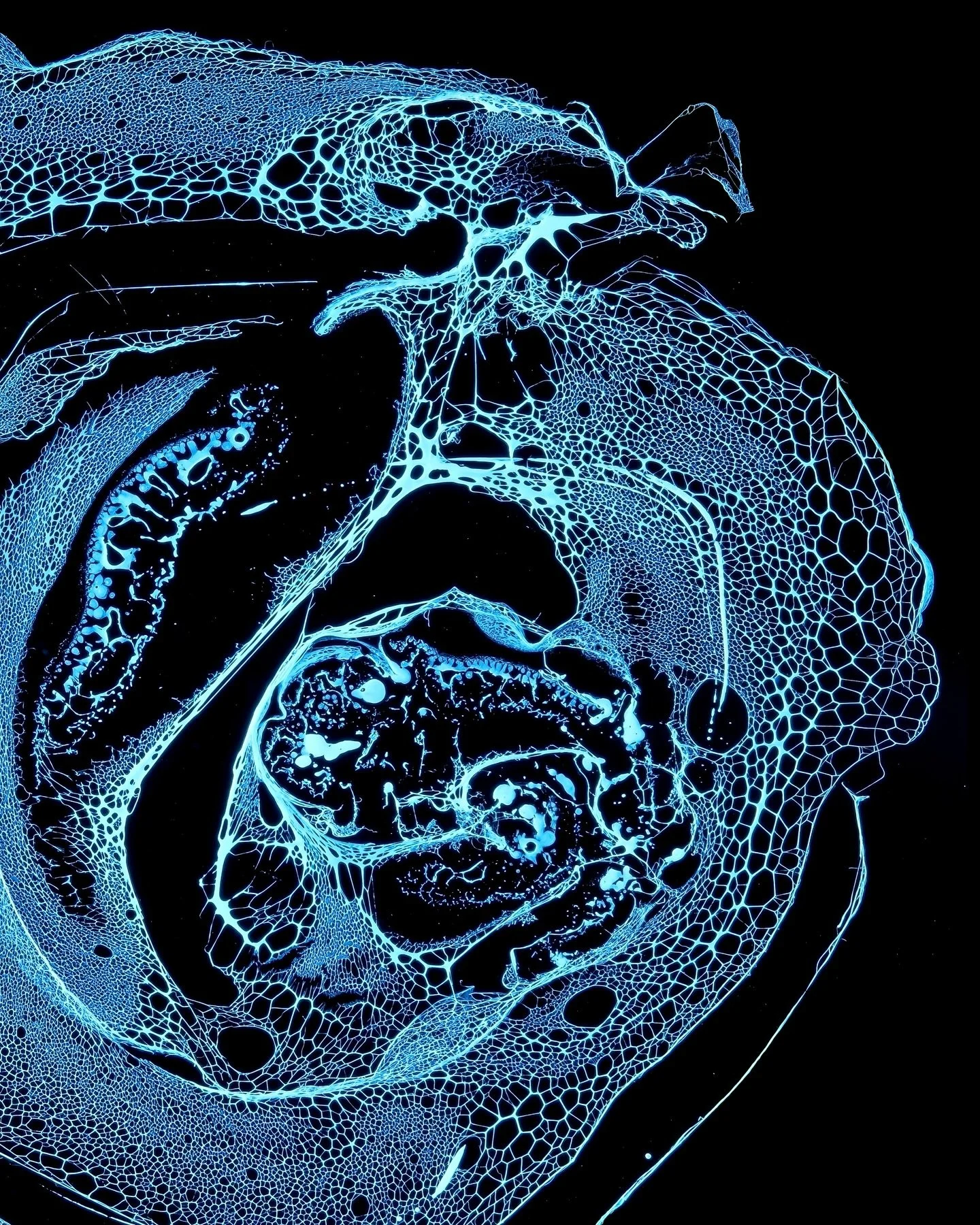 ⚪️ A new selection of macro stills paired with a few short clips showing how these white-ink structures form on a glass slide. Each pattern is around 10 mm in real size and was captured with a macro lens to reveal the delicate details that are only b