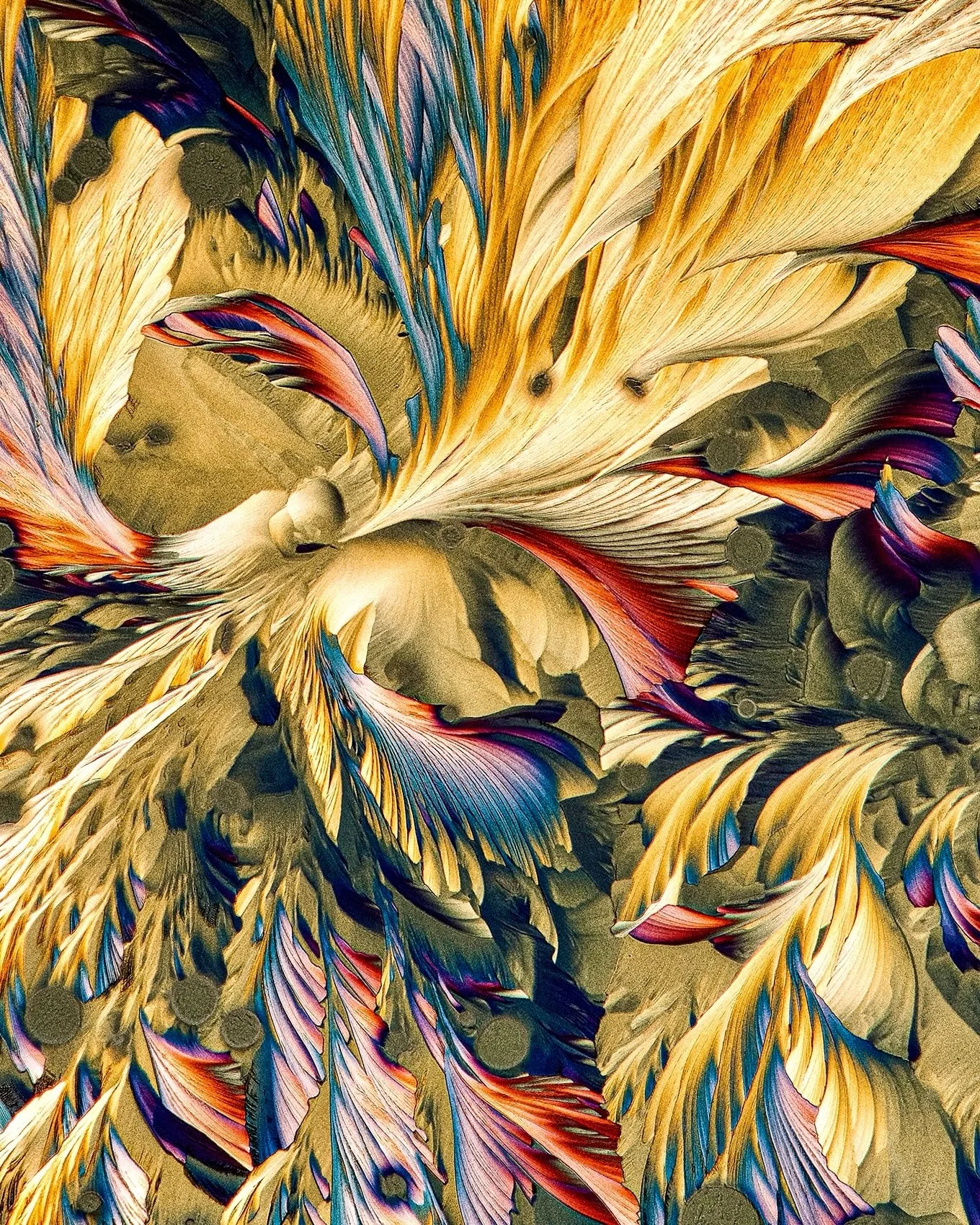 A small throwback to one of my early crystal experiments - captured years ago in my old home studio. These structures were shot through a microscope at a scale of 1-4 mm, using a camera mounted directly to the optics 🔬 Which one is your favourite?