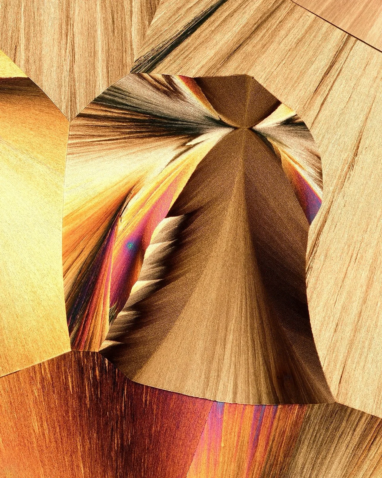 🔬 A small throwback to a few crystal studies I recorded years ago in my old home studio. Captured in a polarized light through a microscope at a scale of 1&ndash;4 mm, each frame shows how these structures formed and refracted light at this tiny sca