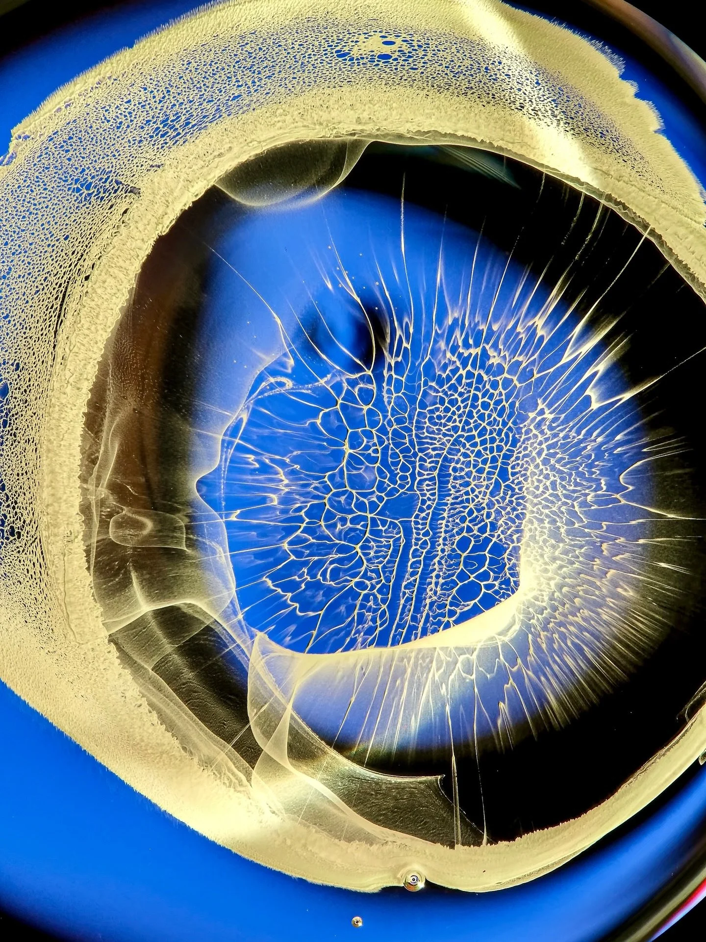 A new series of macro stills captured at a real-life scale of around 15 mm. Each frame shows a mixture of liquids interacting on glass, shaped by surface tension, density, and subtle movement.

All effects are physical - just fluids, light, and contr