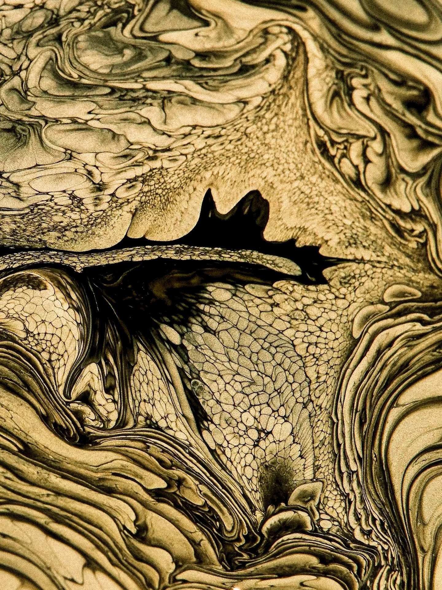 Couple stills from my recent microscopy session - real size 4mm. Shot with a camera attached to a microscope. Let me know if you have any questions! All comments help me a lot to reach people that might be interested in such experiments 🤓 

I would 