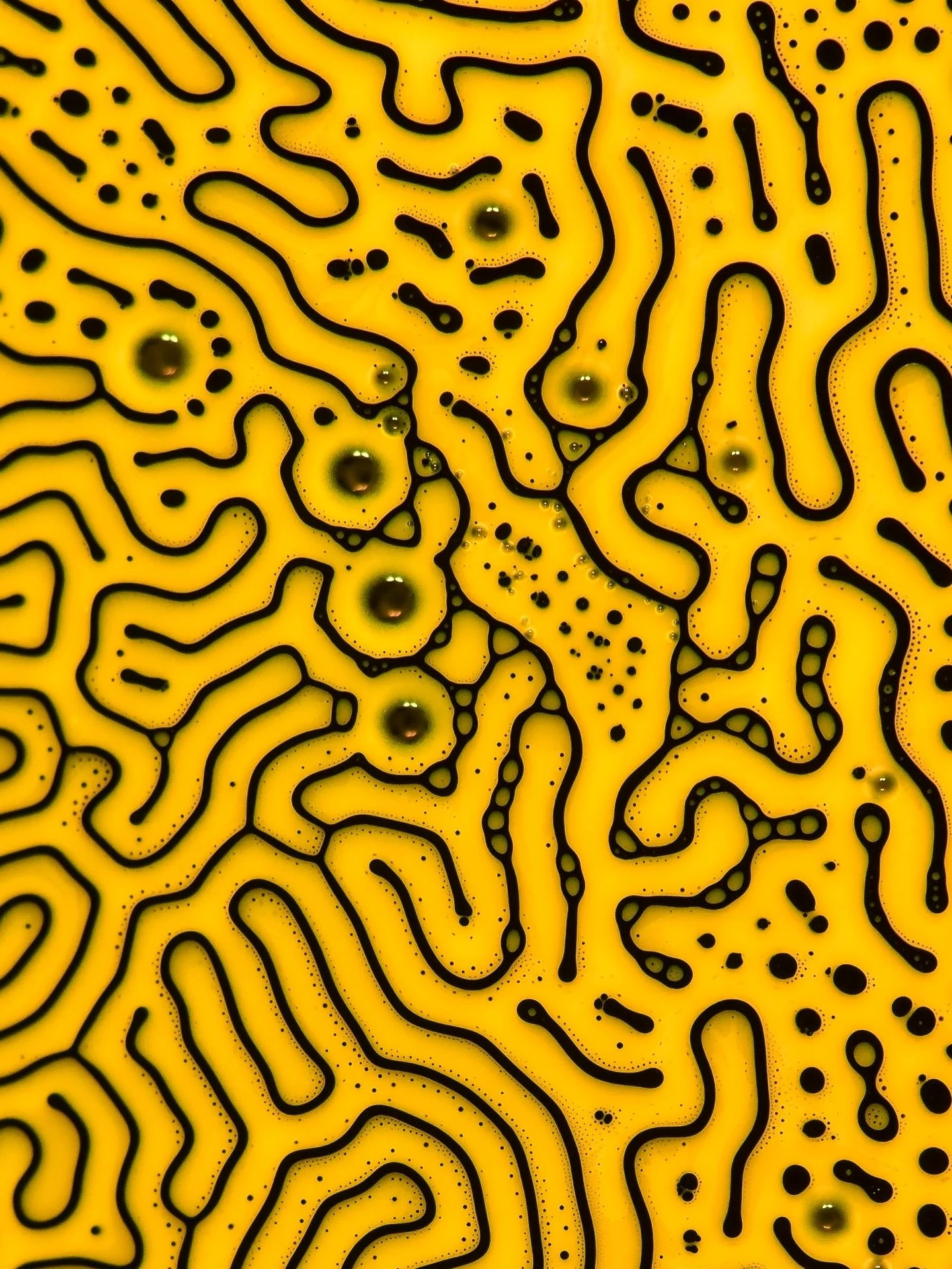 🟡 A selection of microscope stills captured with a camera mounted directly to the setup at a real-life scale of around 4 mm.

These images come from experiments with ferrofluid - a magnetic liquid controlled with a magnet and combined with other sub