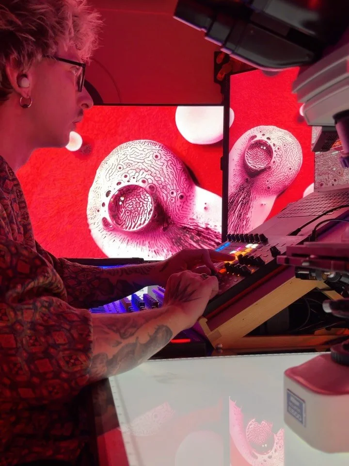 Adding some spicy glitch sauce to my videos, as a part of preparations for upcoming @hospital.of.emotions group exhibition. Footage was recorded with a macro camera and here you can see me playing with it in real time in Resolume Arena