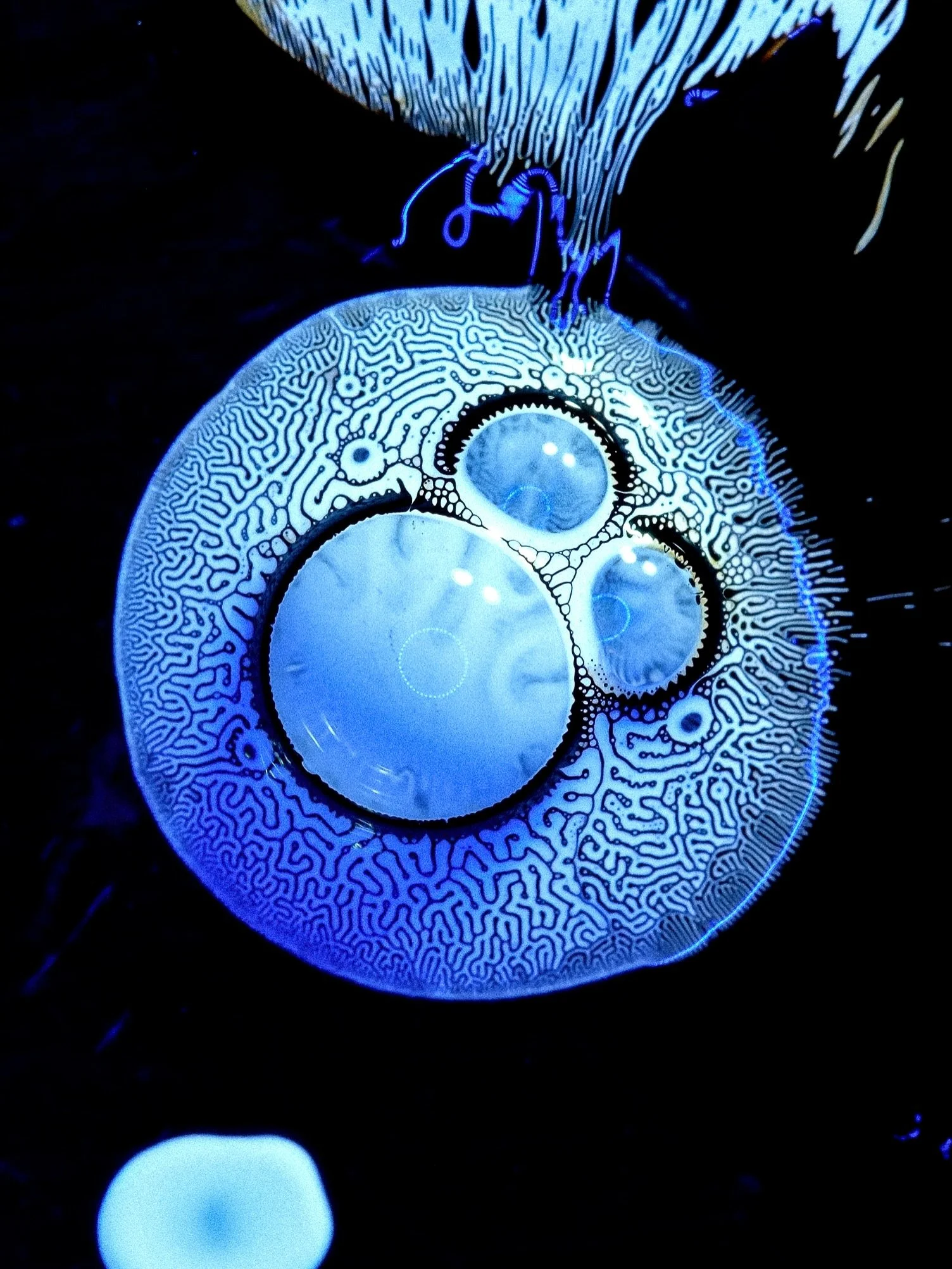 A new selection of images from my ferrofluid experiments, built around a simple shared idea - circular forms becoming the center of each composition.

Most of these structures are bubbles interacting with magnetic liquid and surrounding substances, c