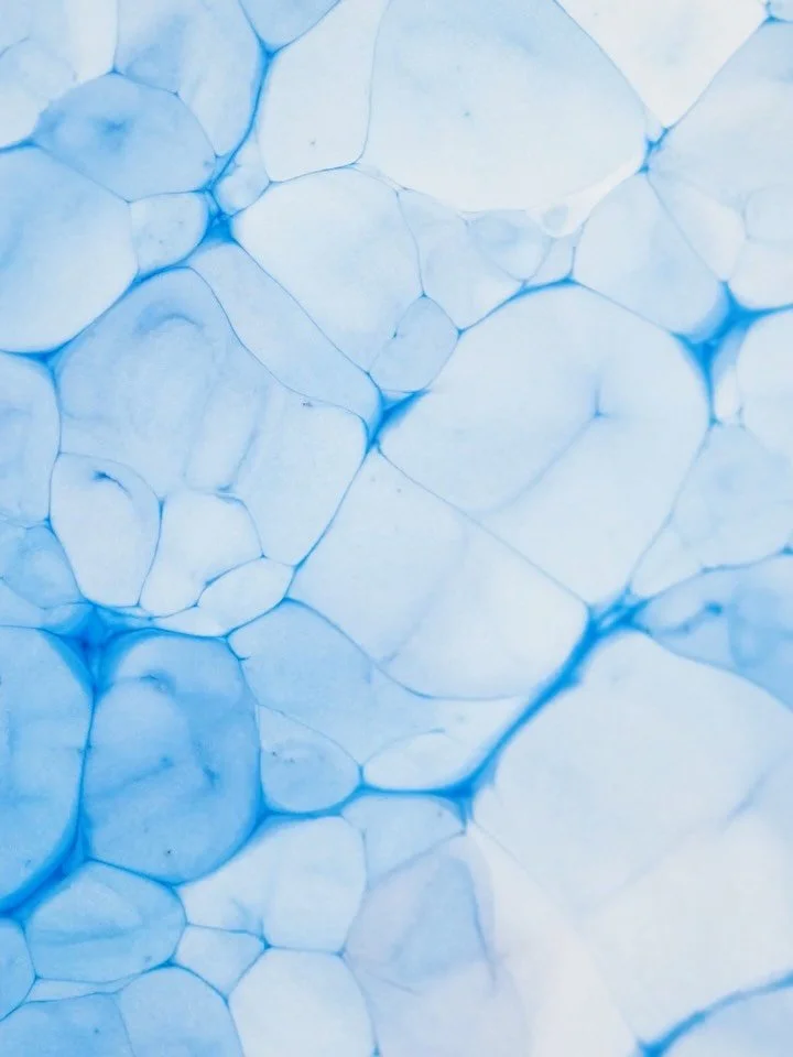 A few interesting moments captured under the microscope.

This post brings together fragments of different experiments observed at a very small scale - fluid interactions, subtle reactions, textures, and structures that only become fully visible unde