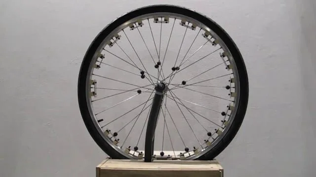 image-asset.jpg