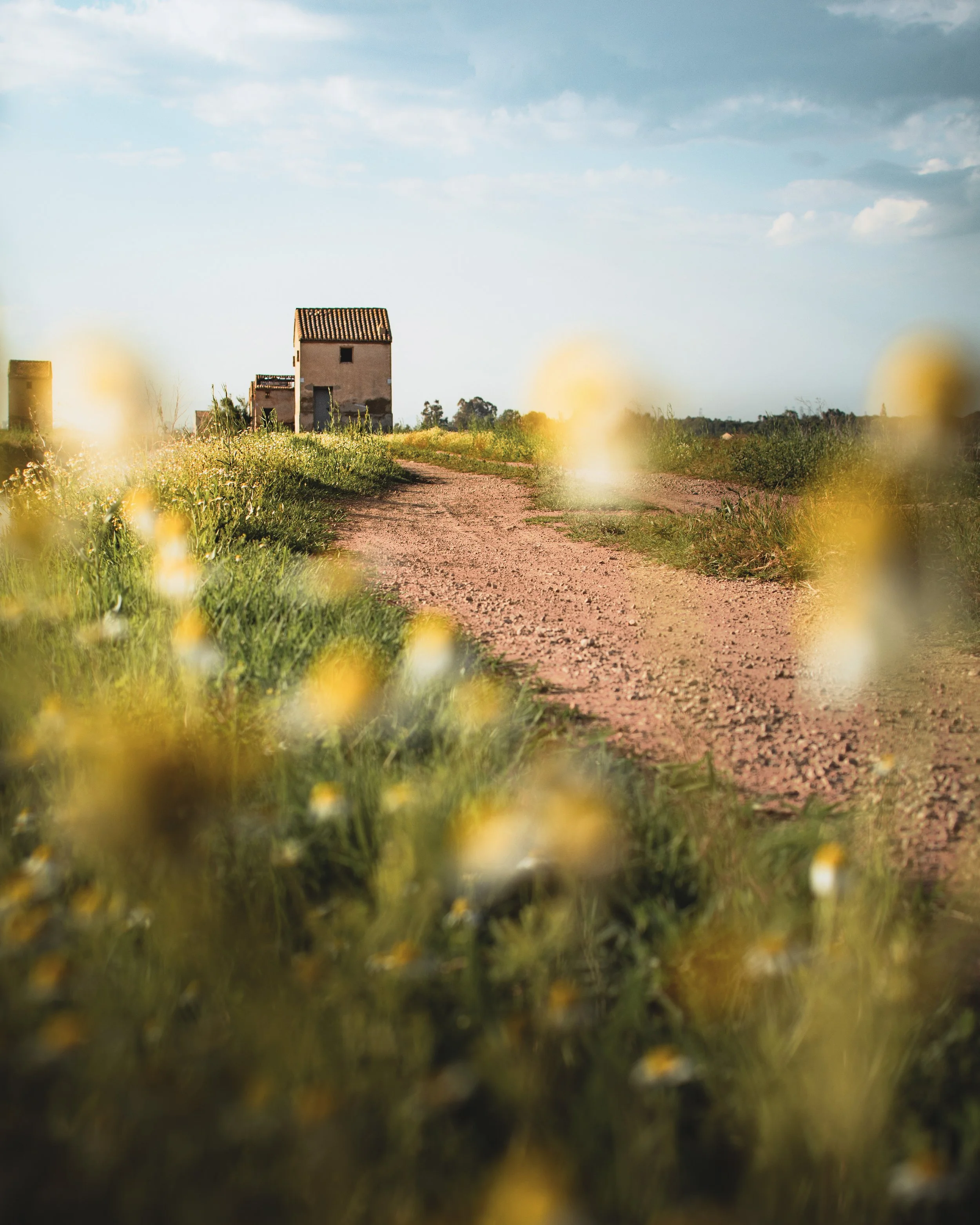 04 - Almacenes de ensueño - Arrels Collection.JPG