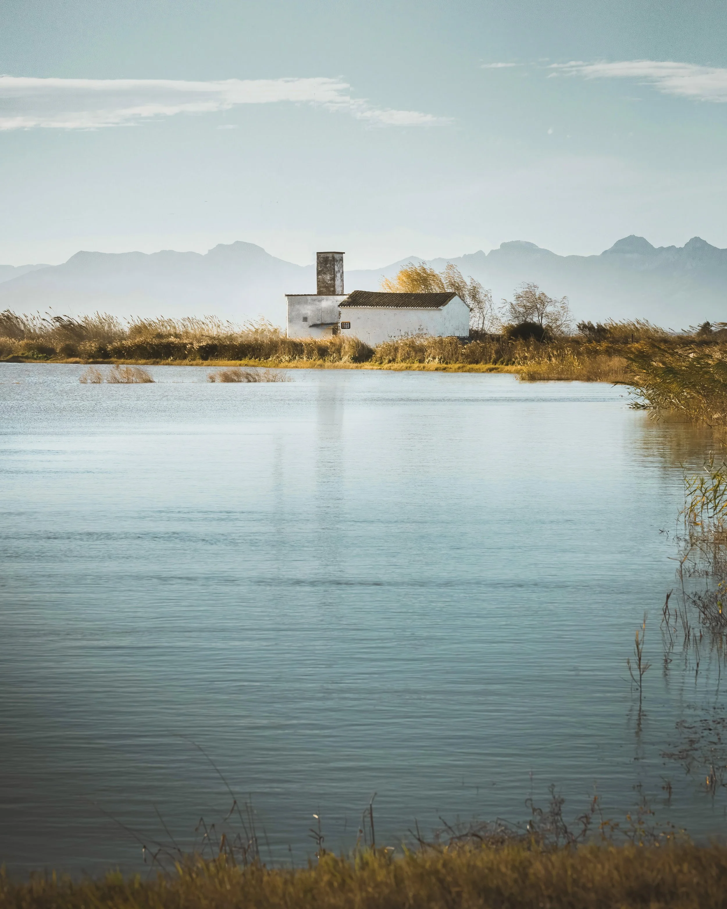 01 - Perellonà - Arrels Collection JPG.JPG