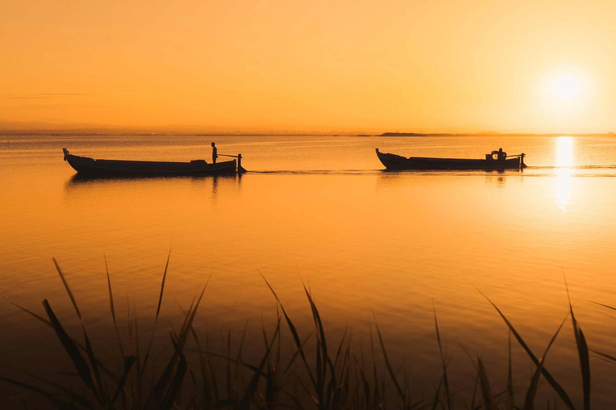 03 - Tornem - Arrels Collection.JPG