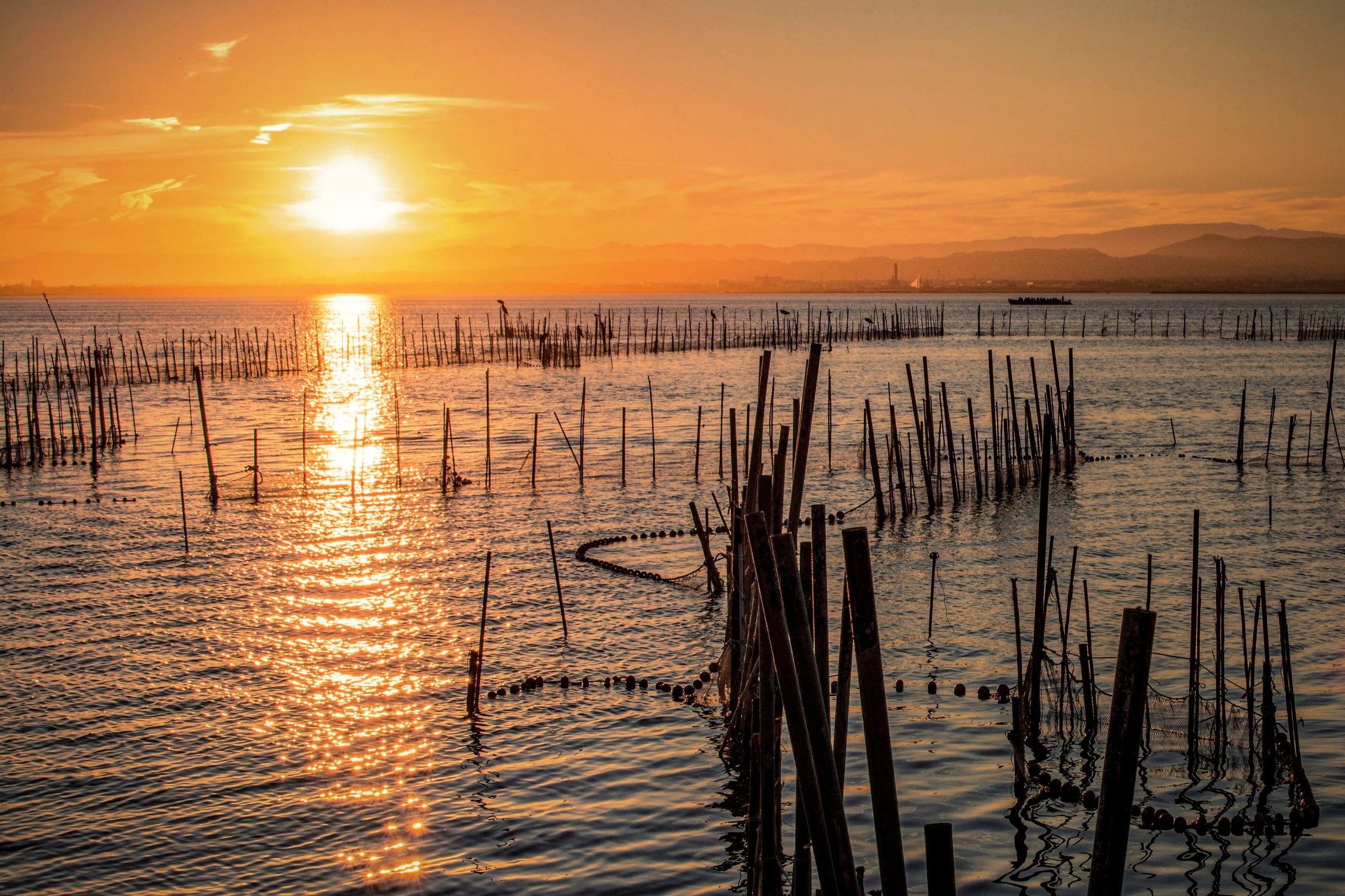 06 - El embarcadero -  Arrels Collection.JPG