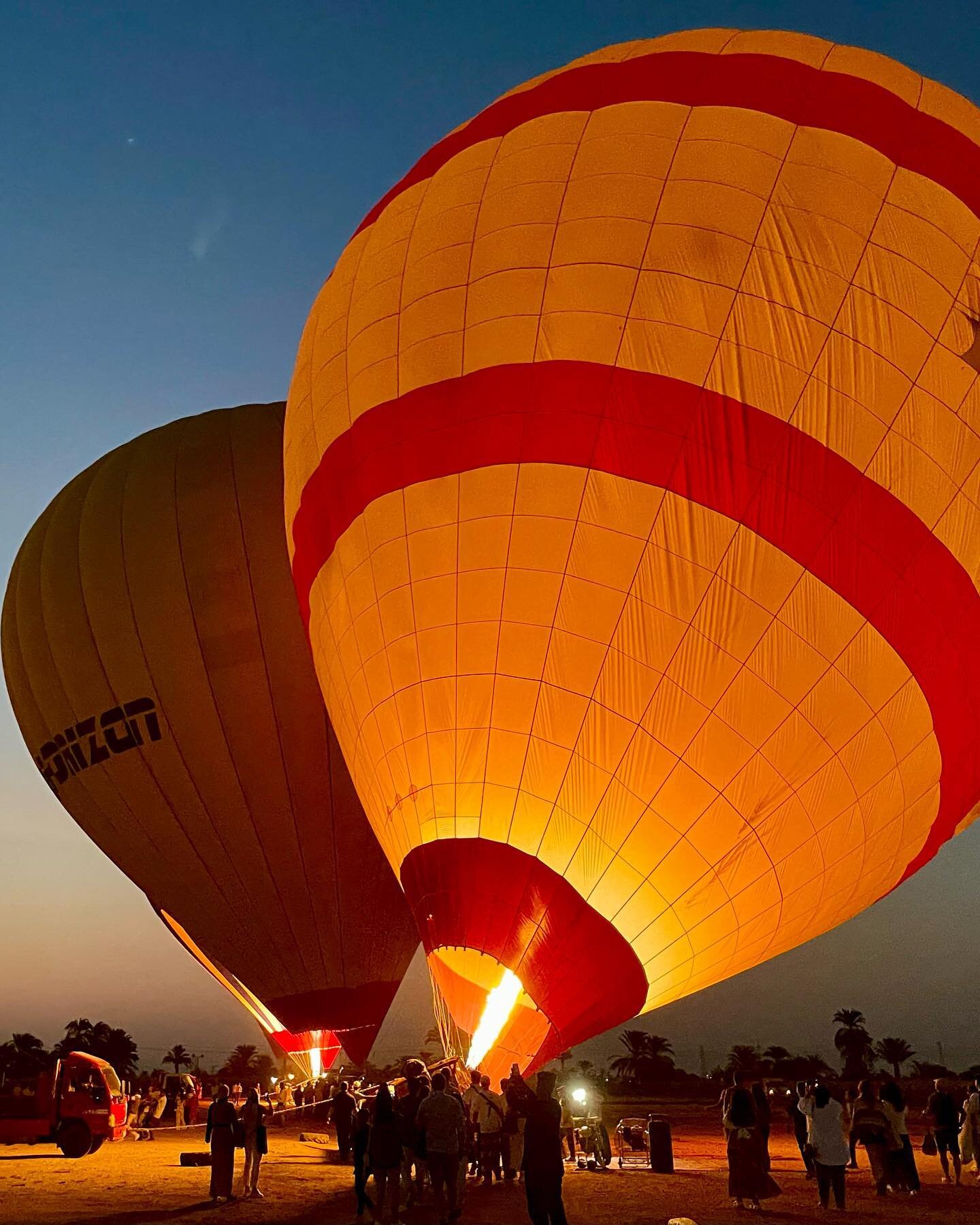 🇪🇬 🐪 🌴 🐠 🤙