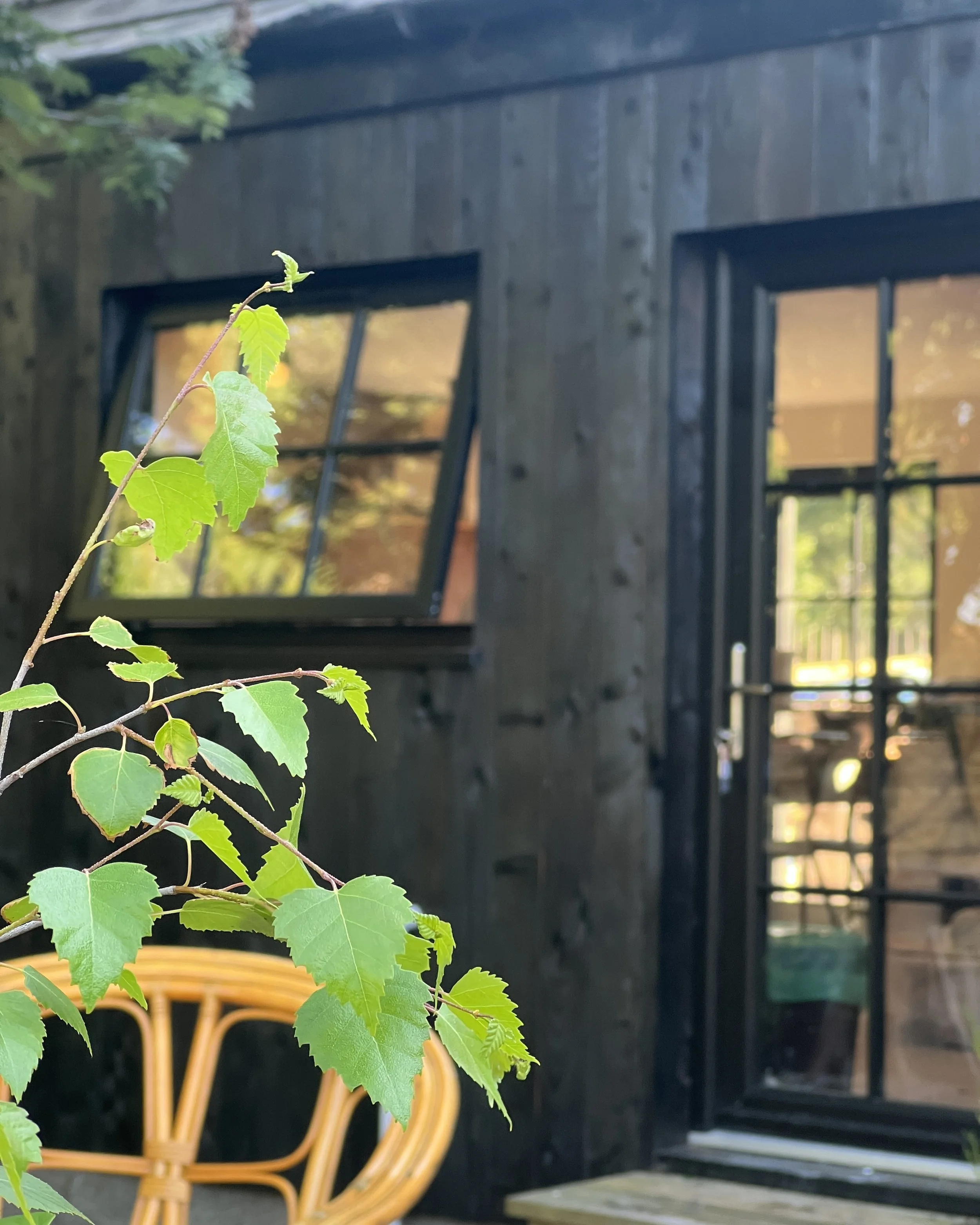 Black timber pottery studio surrounded by trees at Kim Plimley's home in Carrbridge