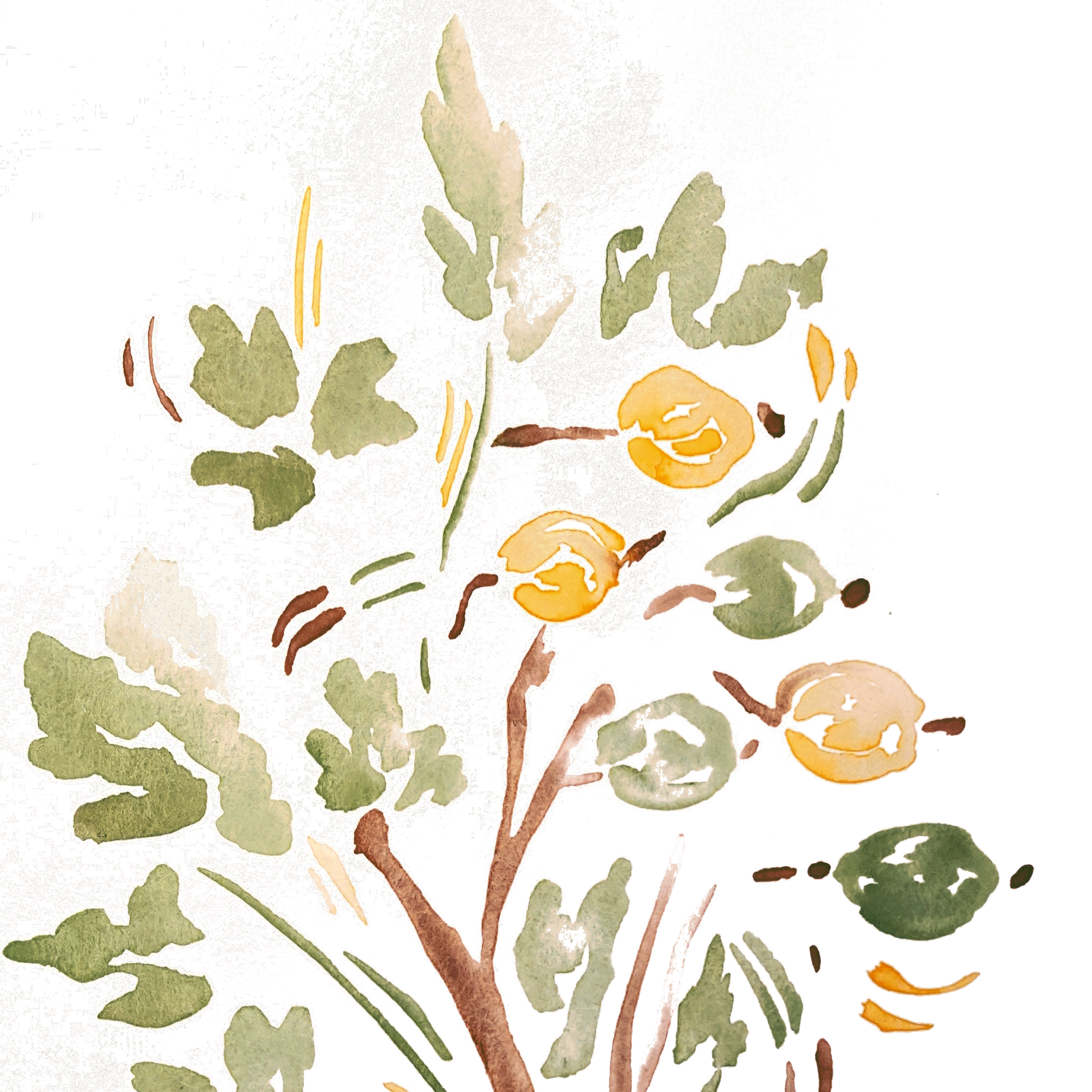 Didier+Pajoy+Copa.yellow-green-brightred.preview.png
