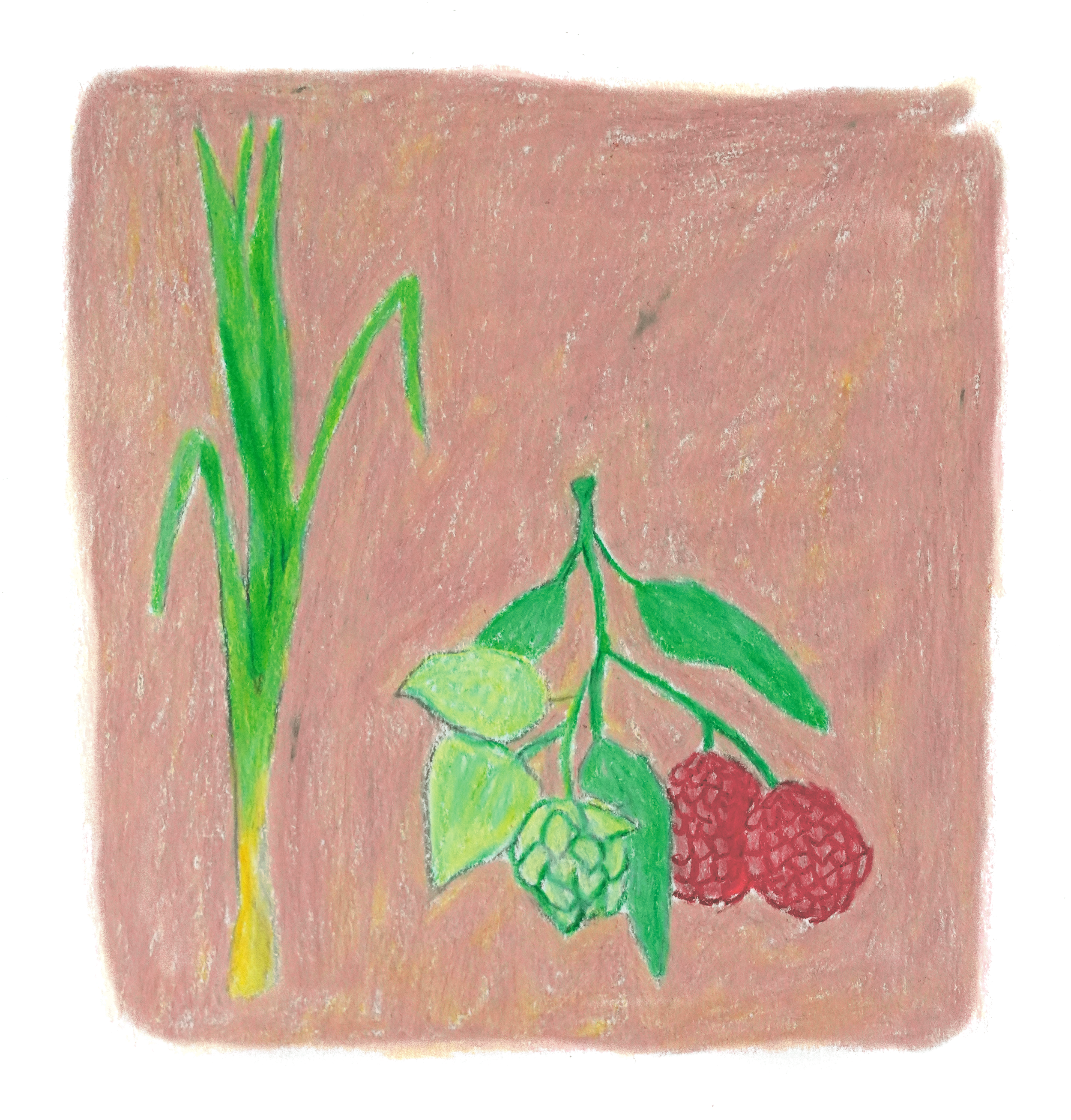 Sebastian Ramirez Session IPA • Honey Session IPA  • Pink Bourbon • Colombia