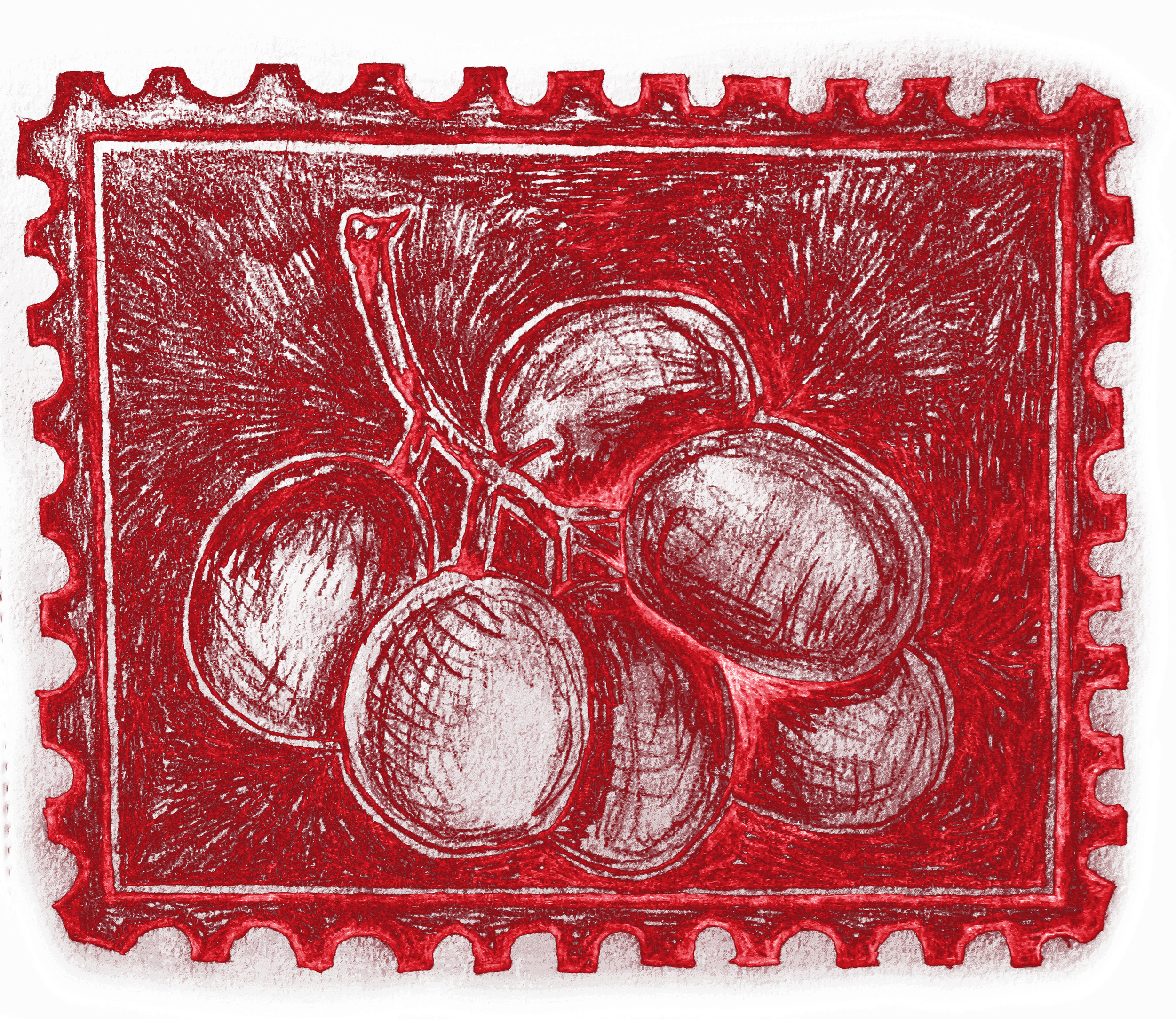 grapes red and black.brightred-black.preview wilton caturra.png