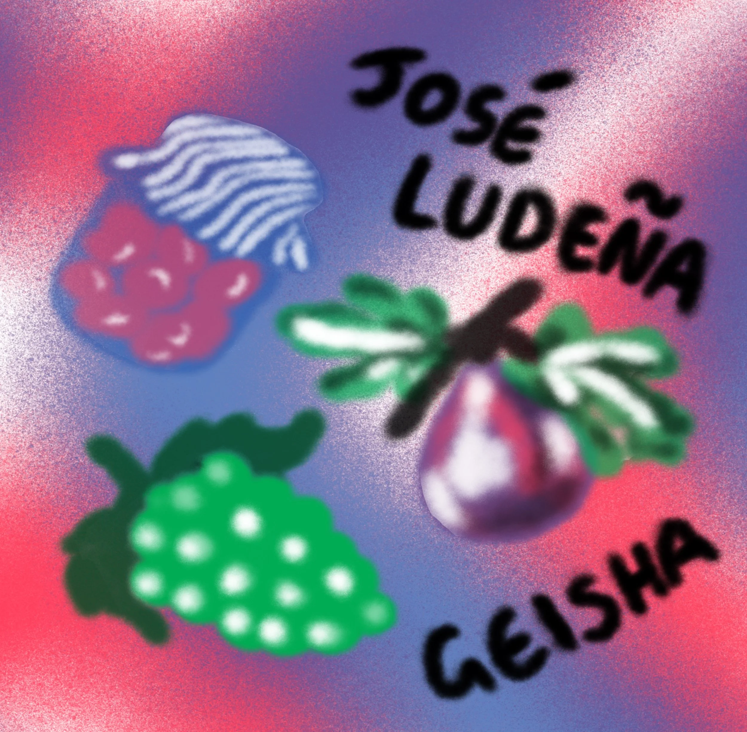 Jose Ludena • Natural • Geisha • Peru
