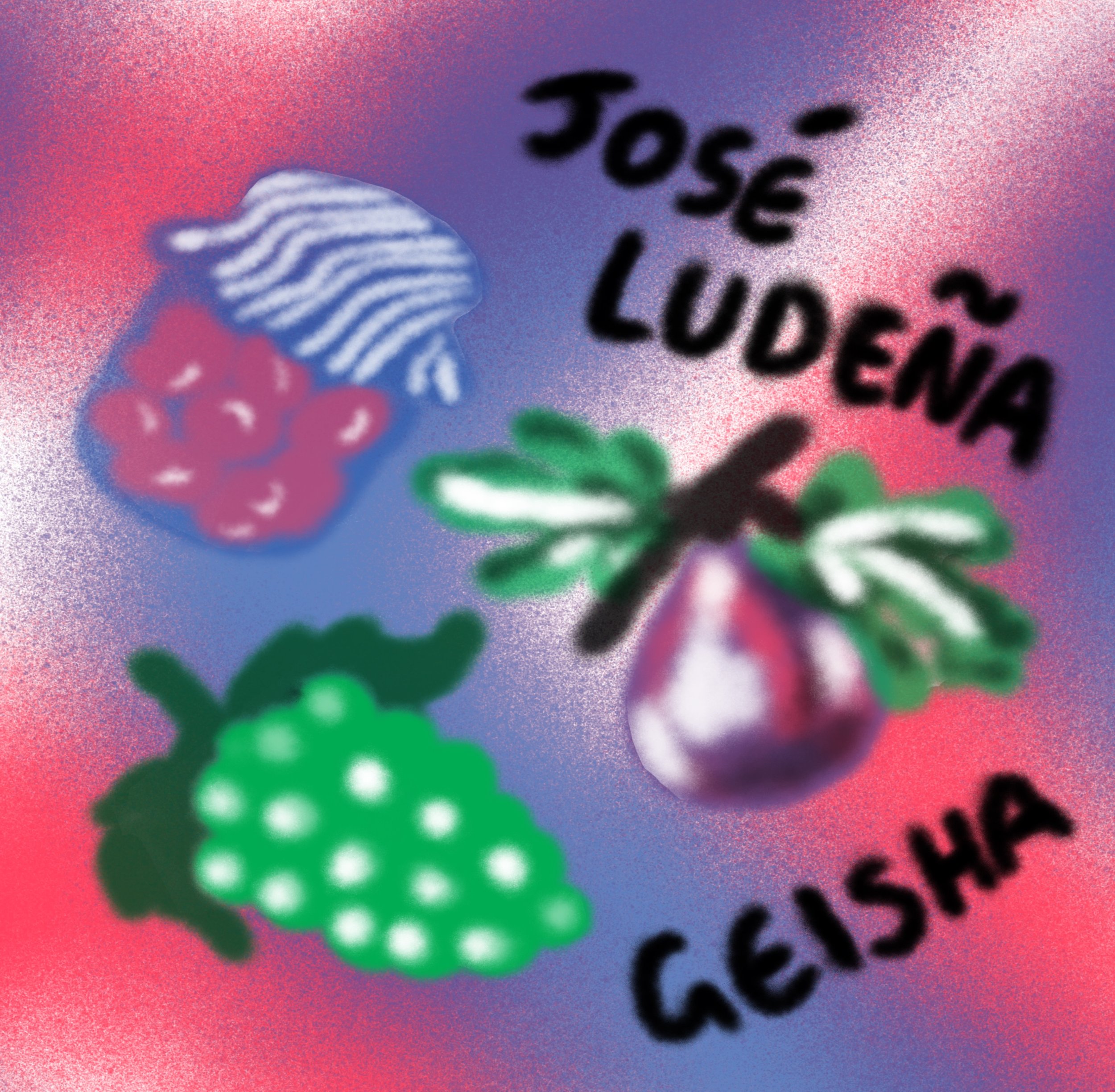 Jose Ludena • Natural • Geisha • Peru