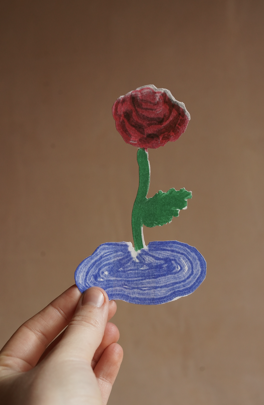 Rose Co-ferment • Co-fermented • Tabi • Colombia