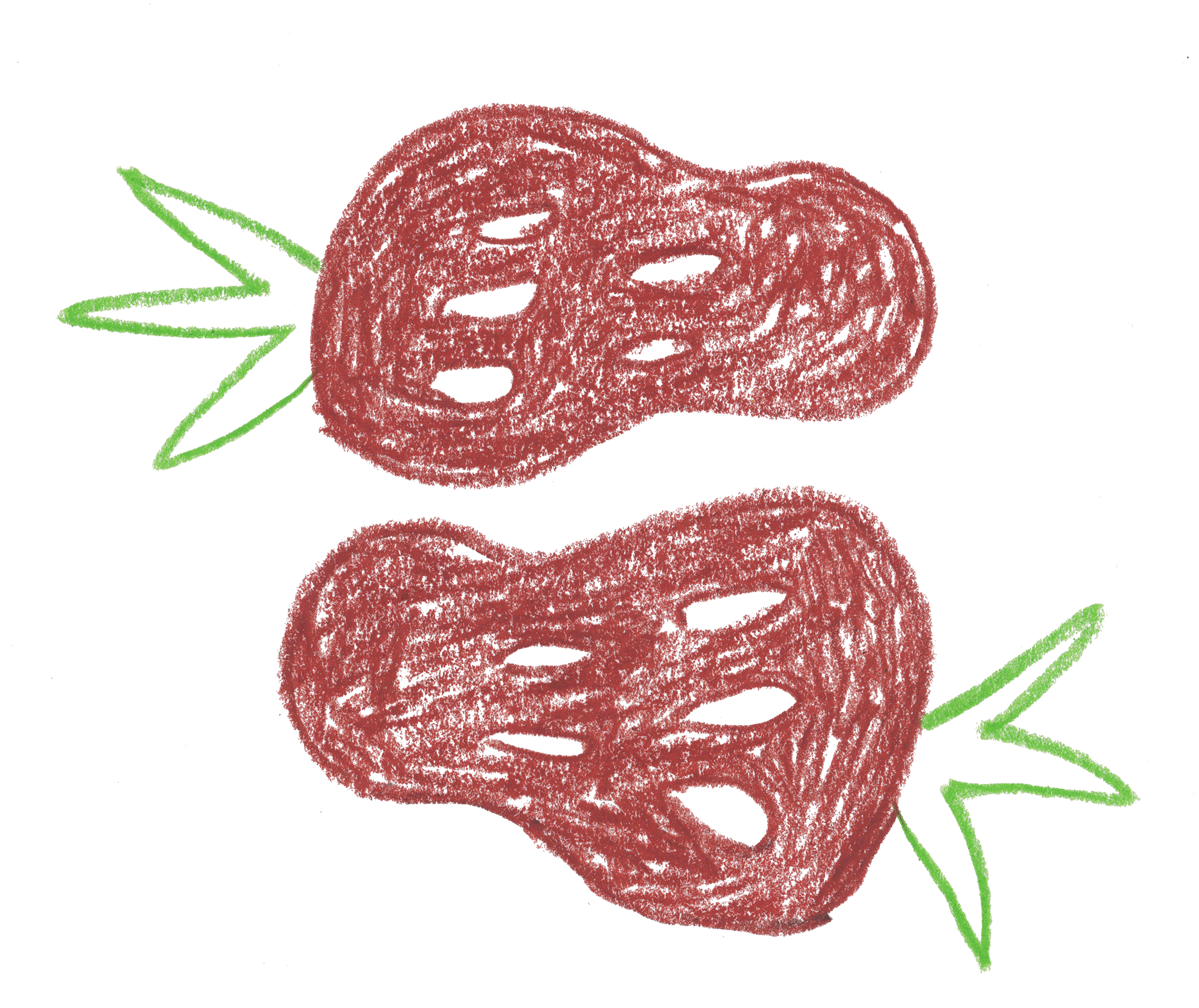 smaller no bkacground maragogype duncan.png