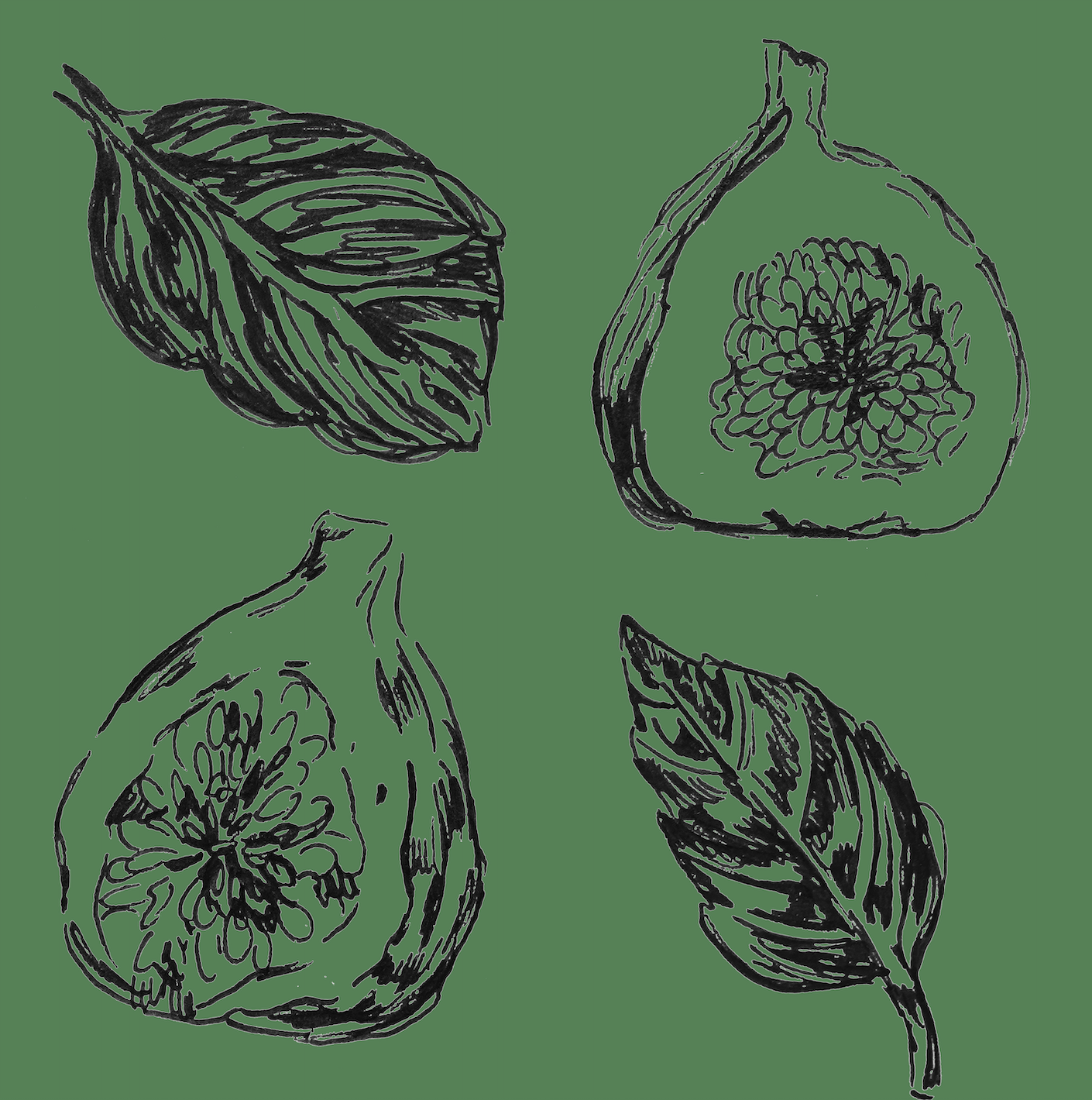 Blackmoon Chiroso Anaerobic Natural Panama 100g