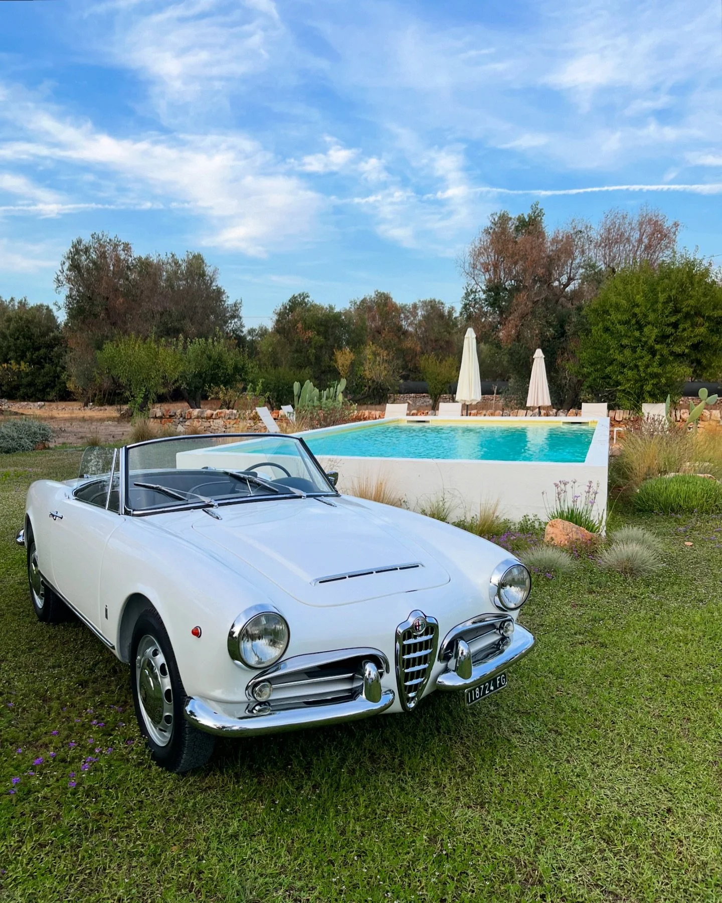 Special guest at our trullo 🍃
.
.
.
#autodepoca #car #carporn #carphotography #vintage #vintagestyle #vintagecar #vintagecars #epoque #epoquauto #holidaydecor #holiday #holidays #gardendesign #designer #vacanze #vacations #trullo #trulli #puglia #pu