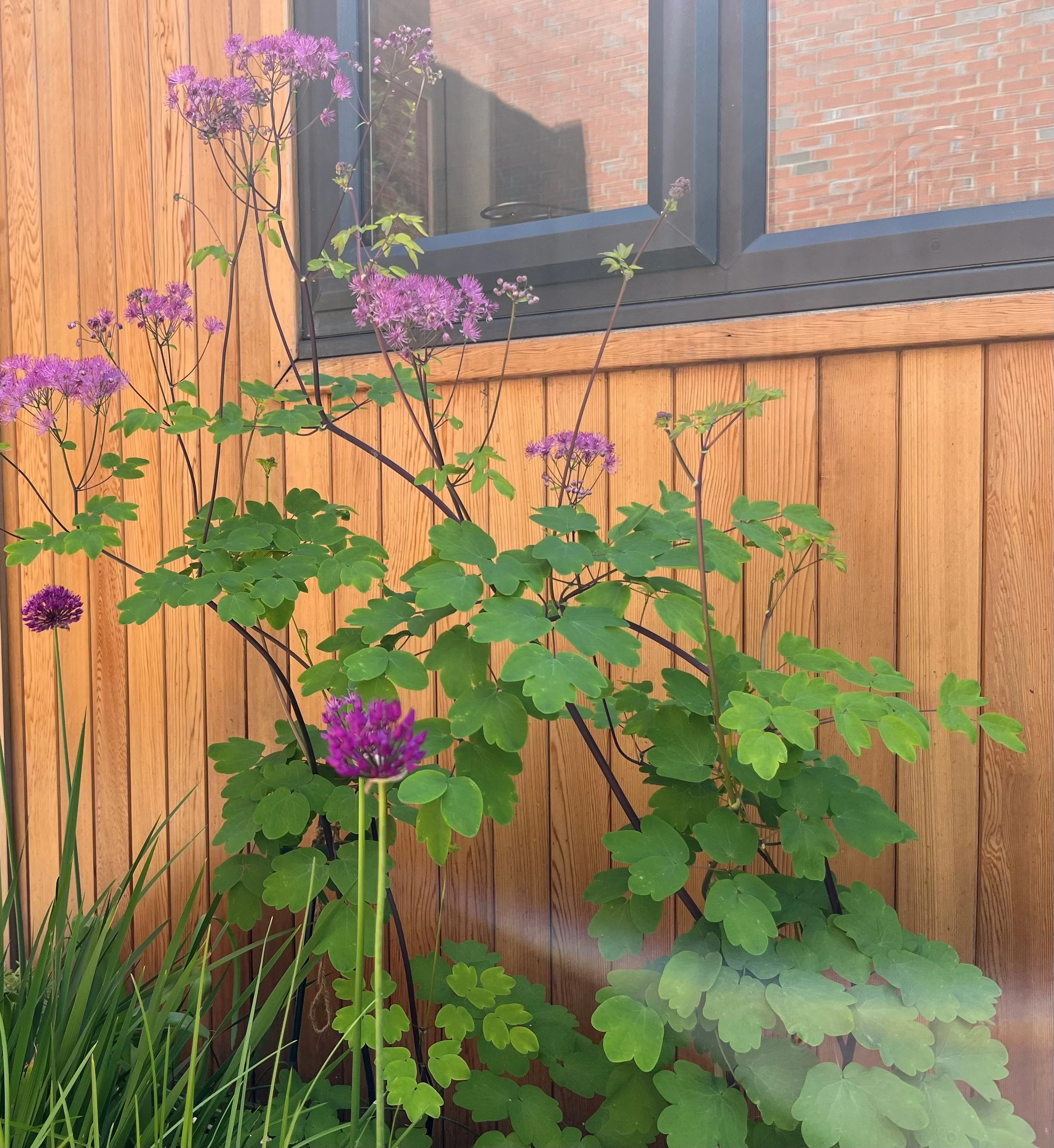 How to blend a new office into your garden.