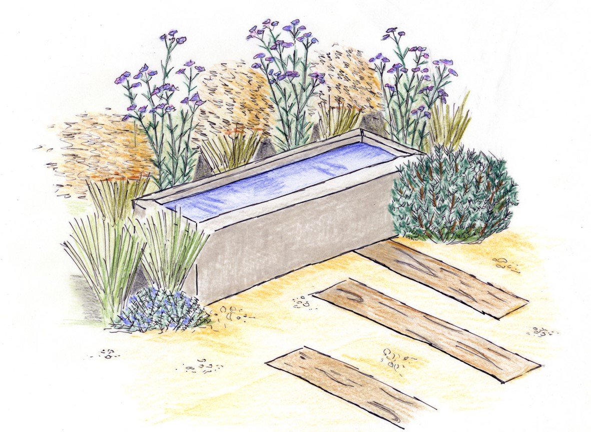 Water Feature illustration.jpg