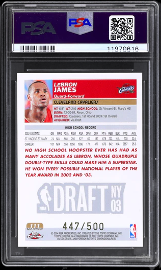 lebron-james_back.png