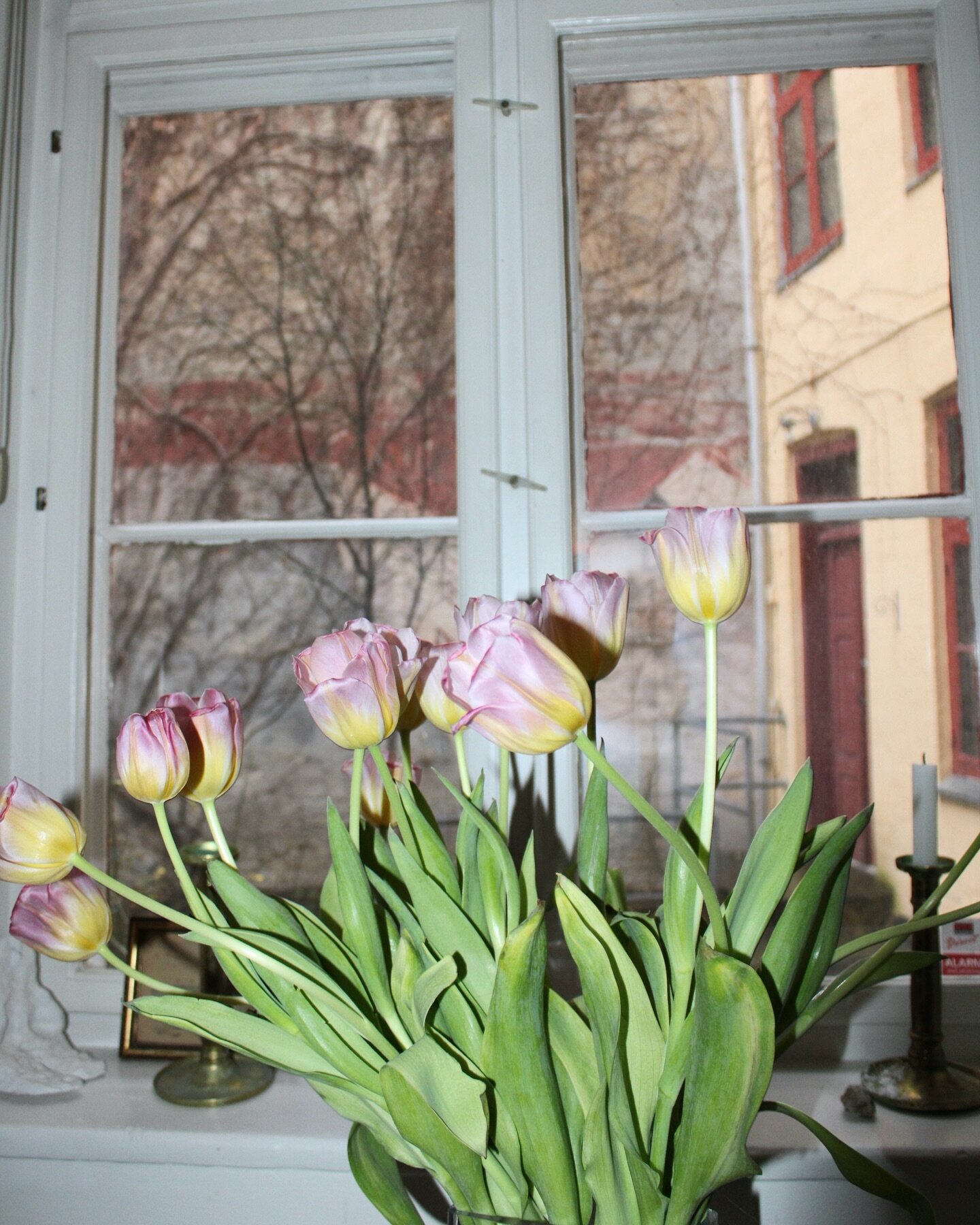 Tulips show that spring is coming soon and give us something to be excited about. Love Alexandra 🌷

#AMOHRJEWELLERY